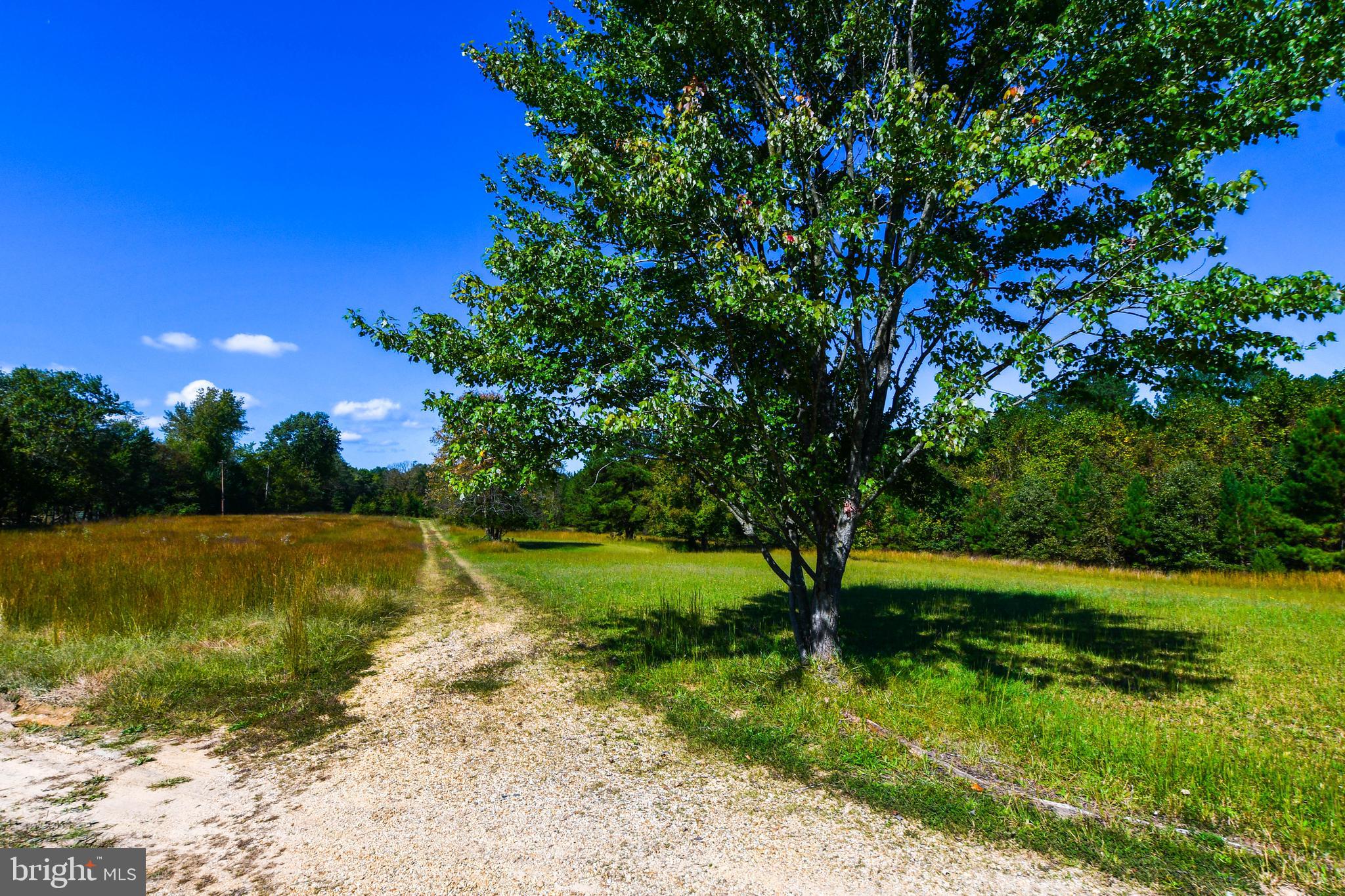 WALDORF - Residential