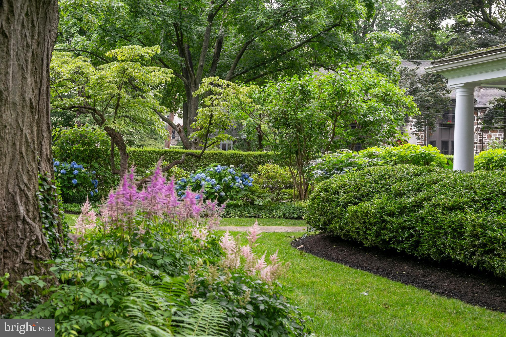 CYNWYD - Residential