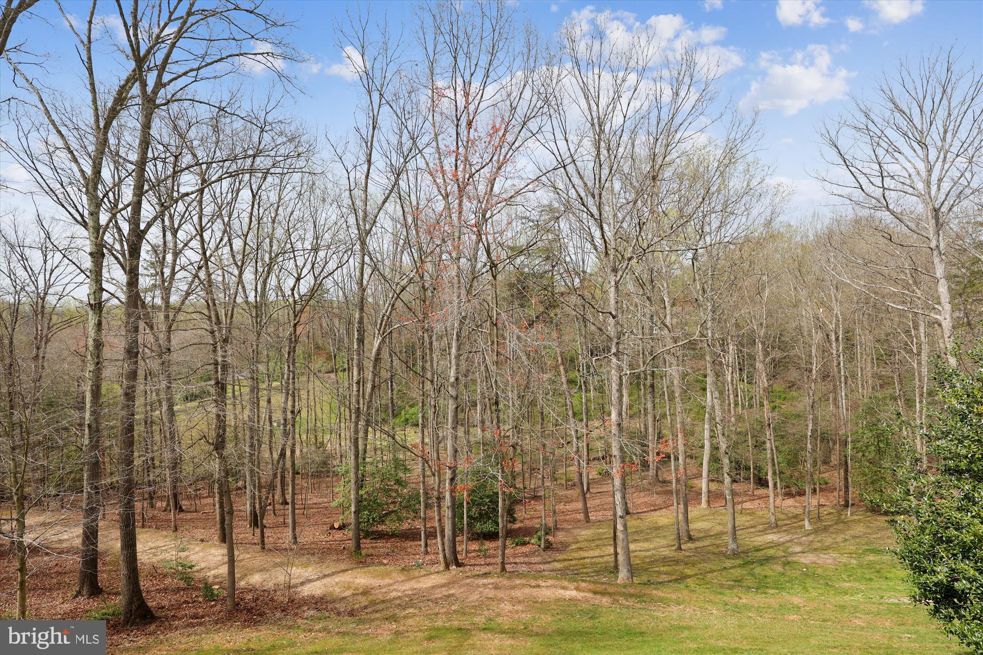 BRIDGES OF OAKTON - Residential