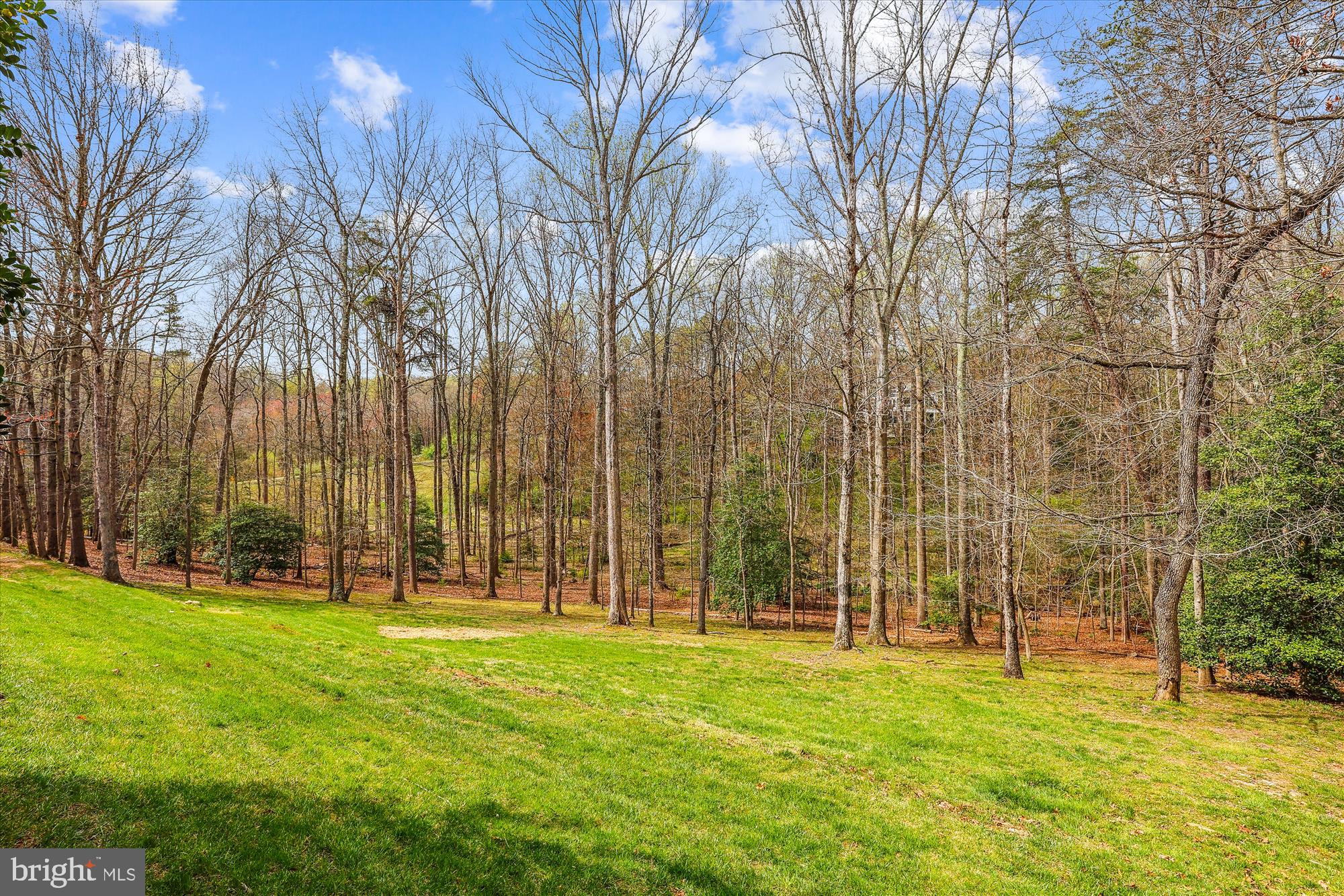 BRIDGES OF OAKTON - Residential