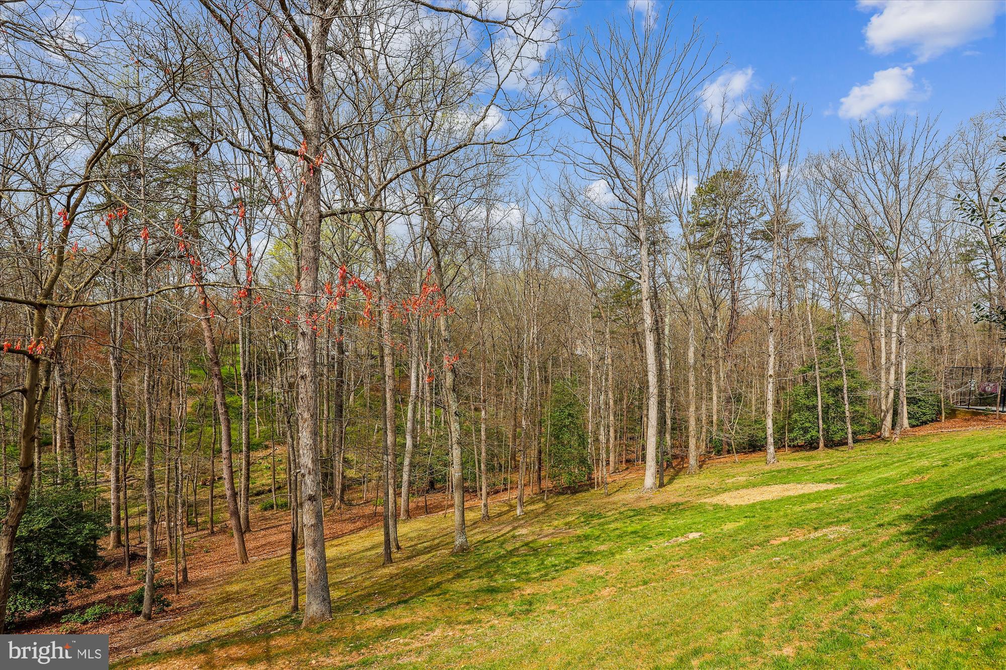 BRIDGES OF OAKTON - Residential