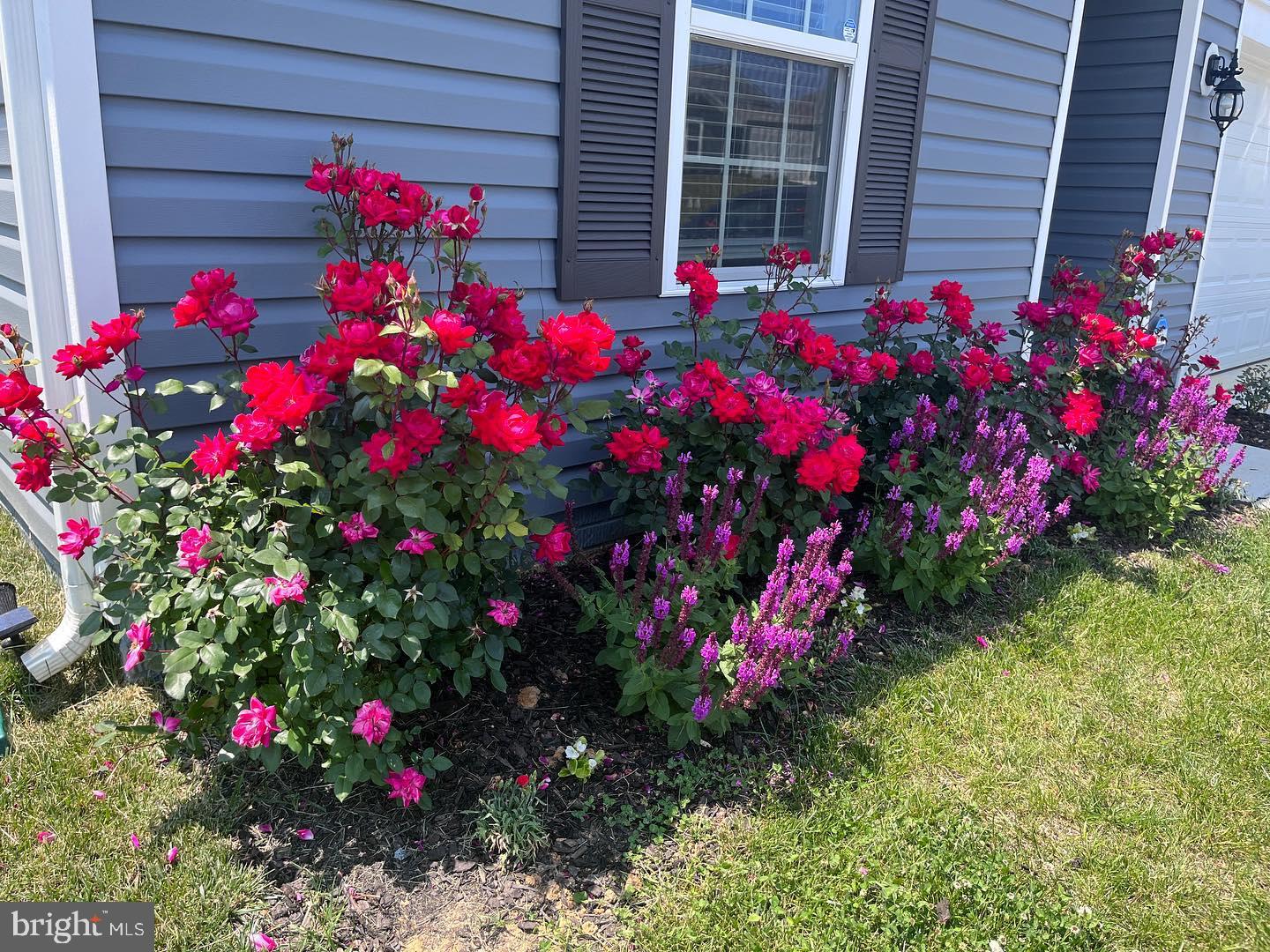 MAGNOLIA SPRINGS - Residential