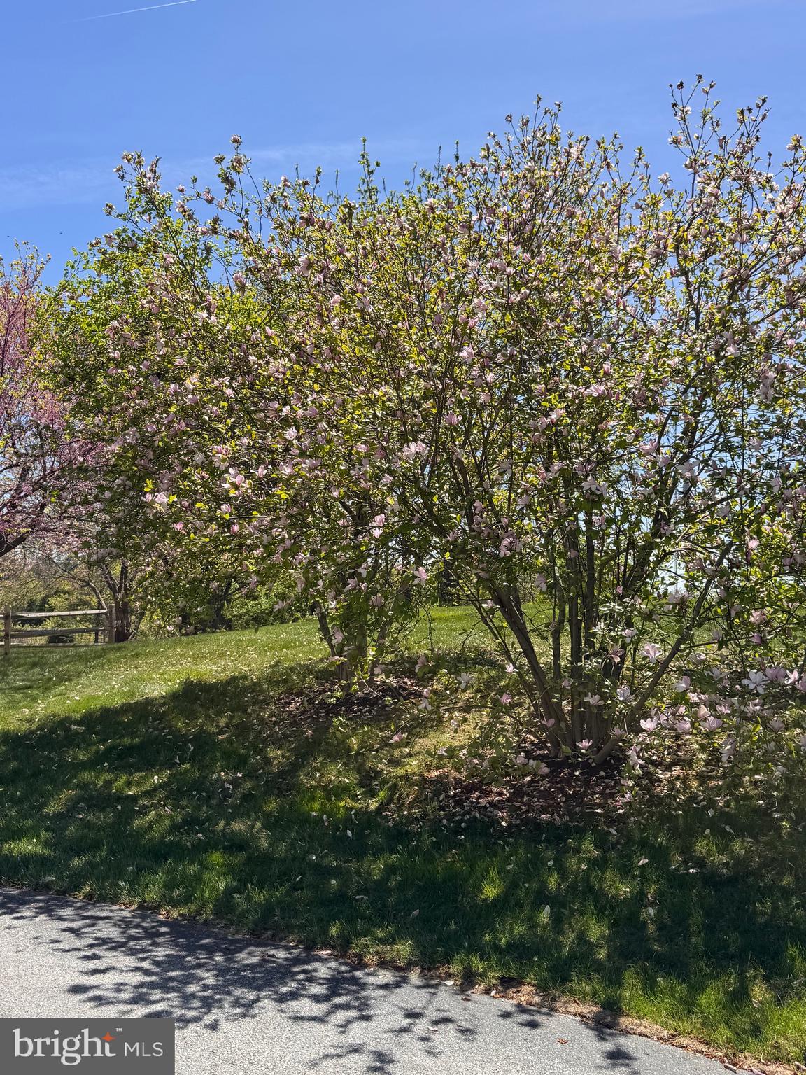 WINDSOR RIDGE - Residential Lease