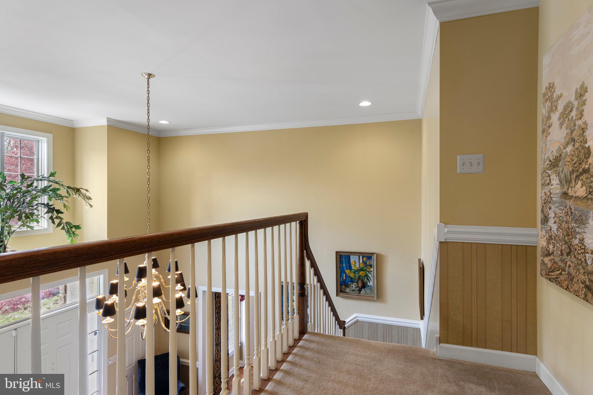 VILLAGE BLACKSHIRE - Residential