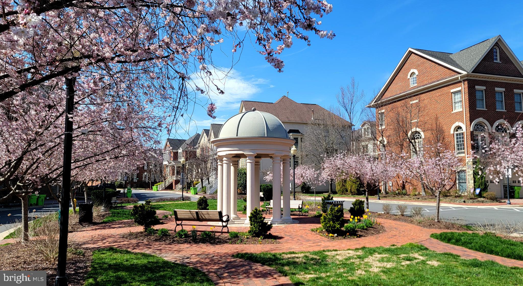 CAMERON STATION - Residential