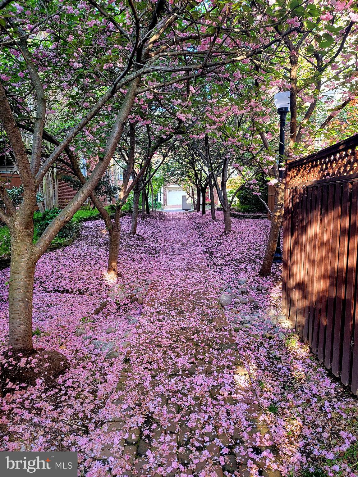 CAMERON STATION - Residential