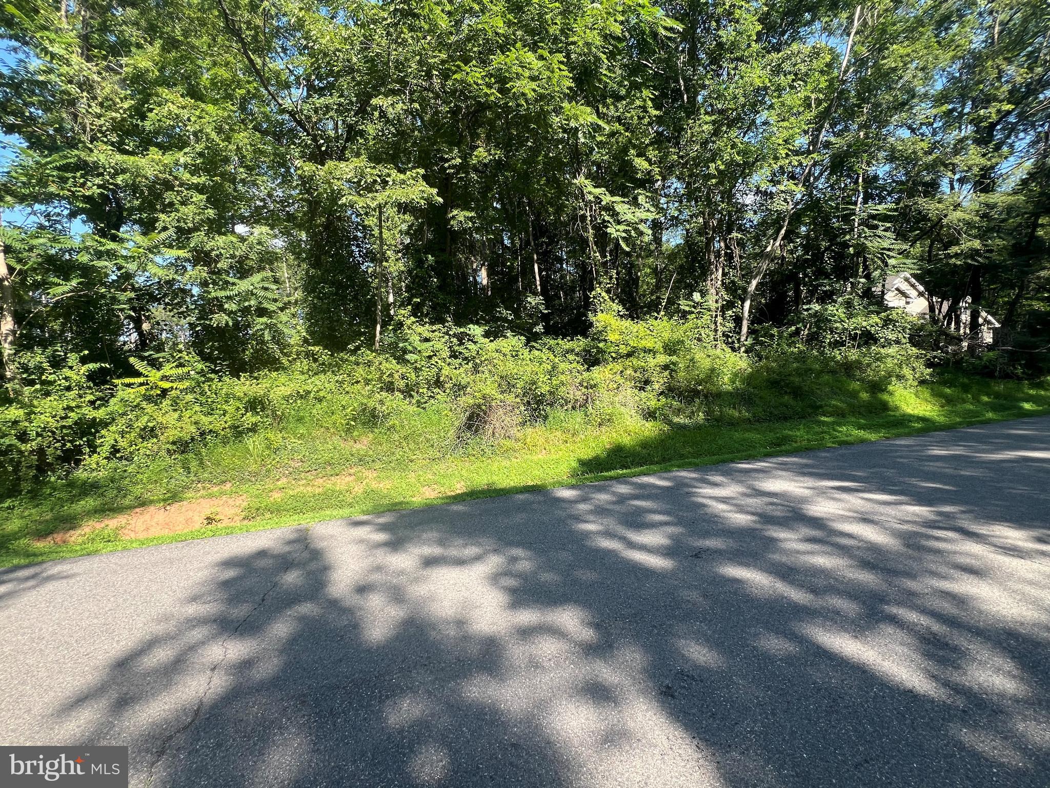 LAKE FOREST DRIVE