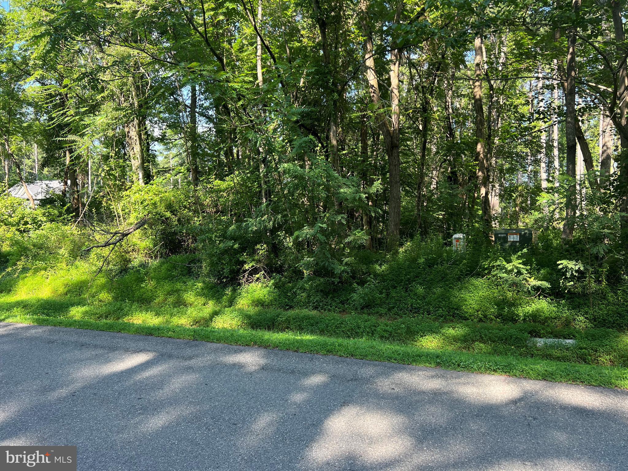 LAKE FOREST DRIVE