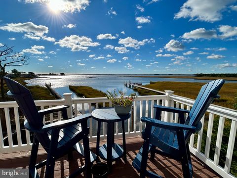 15 BURRWOOD COURT MILLSBORO DE 19966