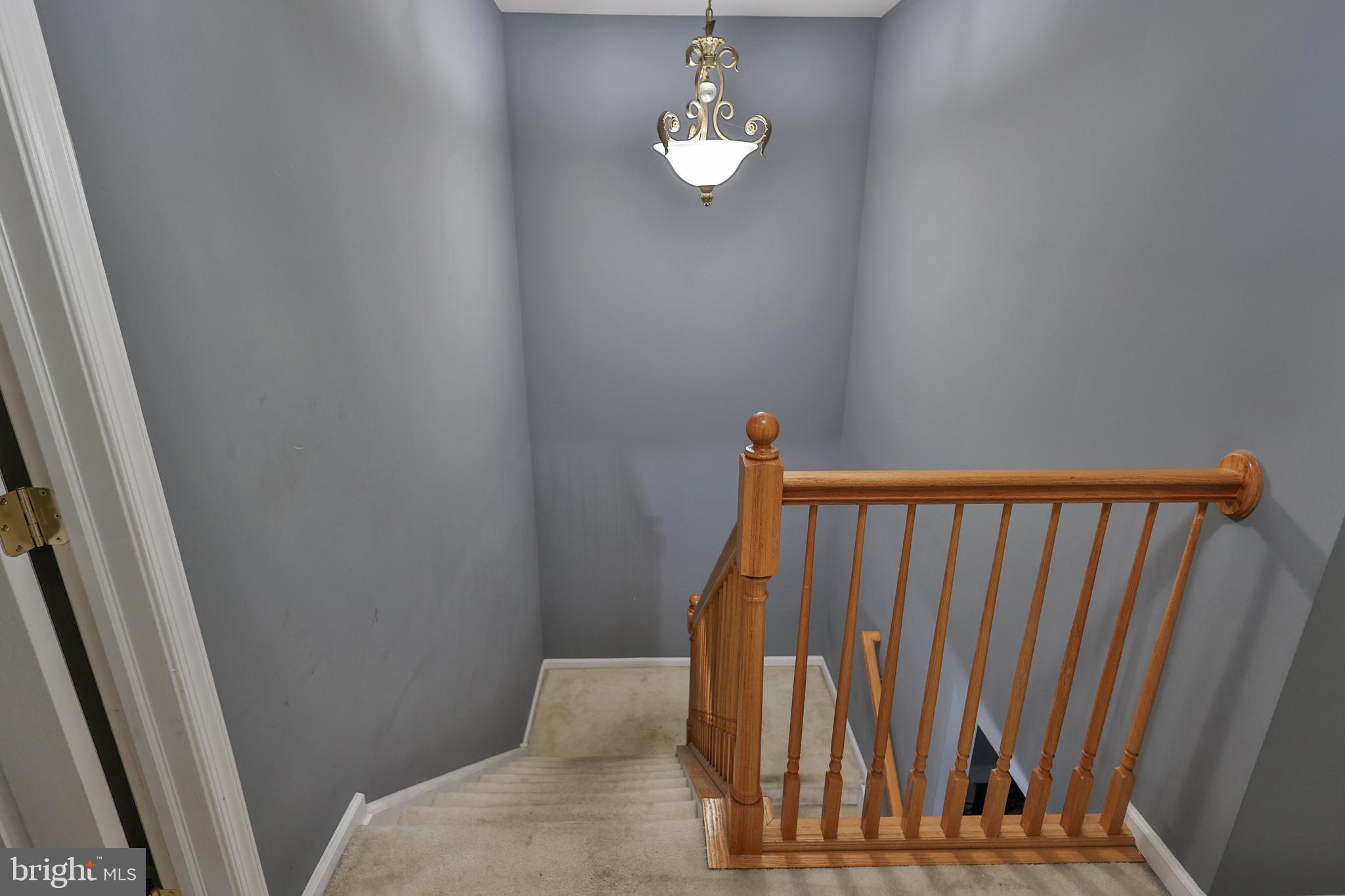 WYNNEFIELD ESTATES - Residential