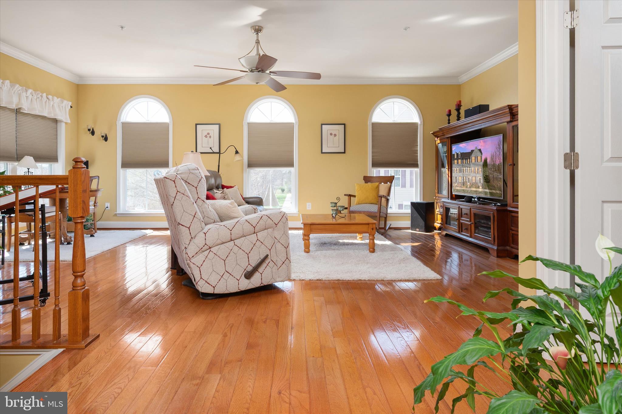 ELLENDALE - Residential