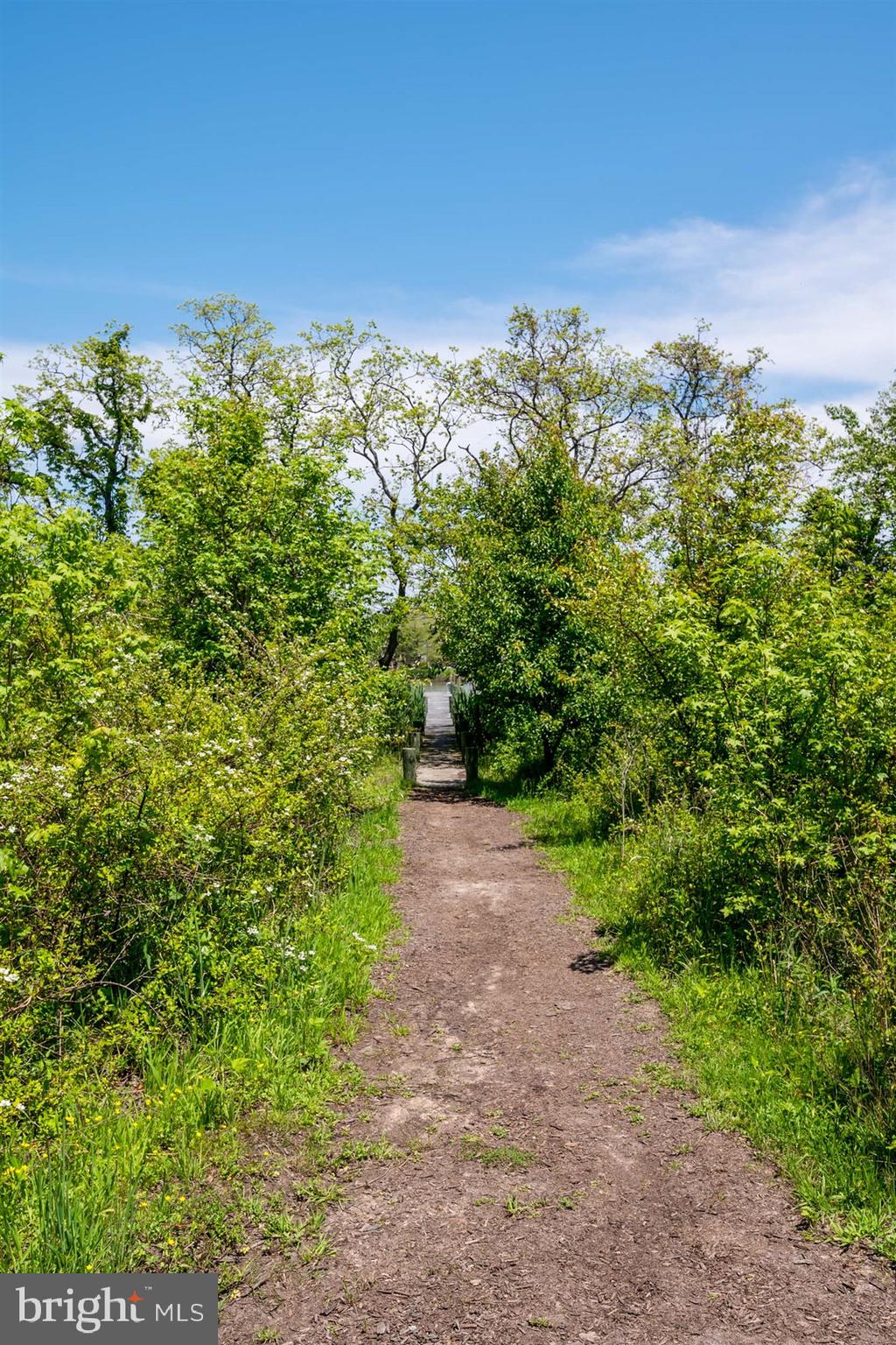 ELLENDALE - Residential