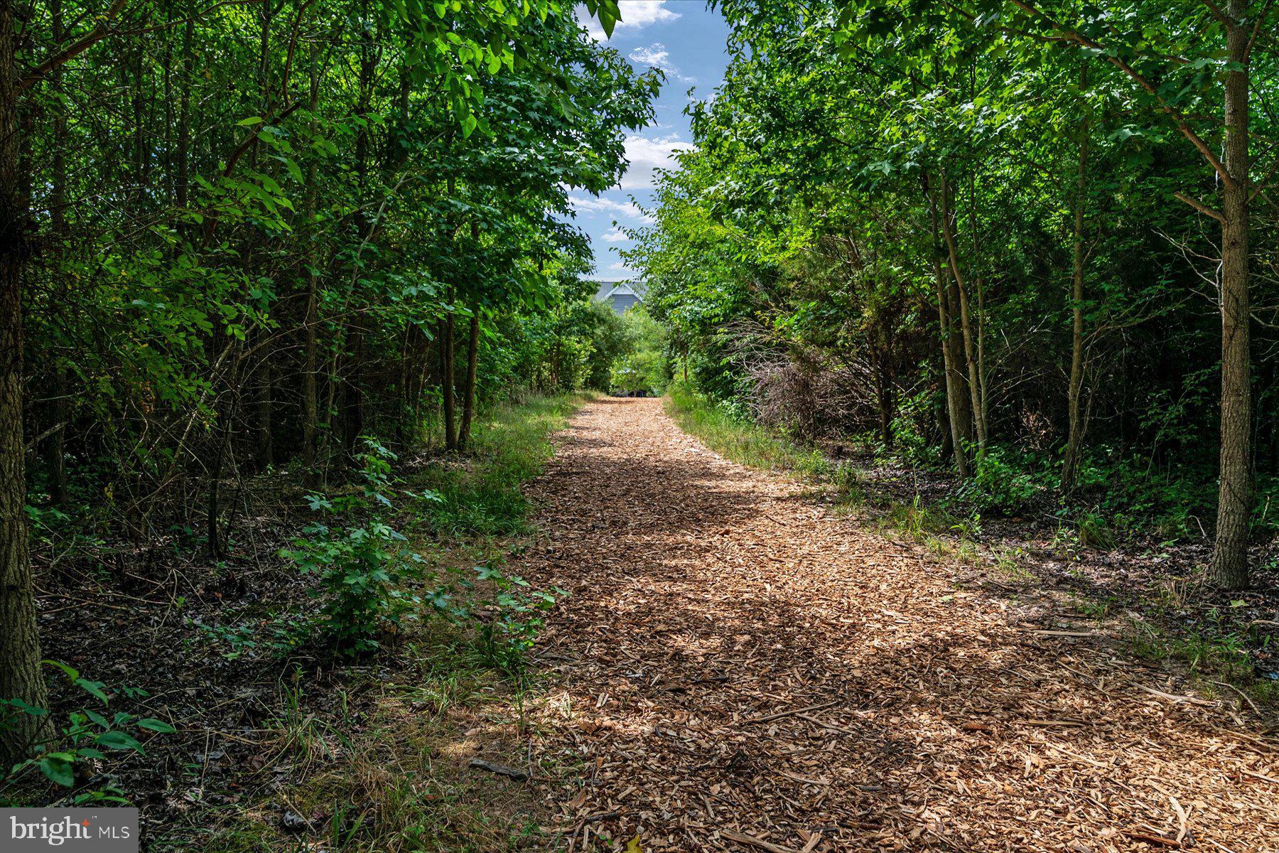 ELLENDALE - Residential