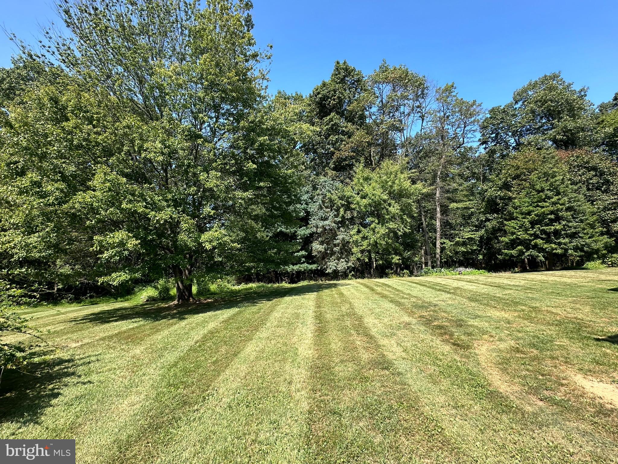 FREEDOM HILLS - Residential