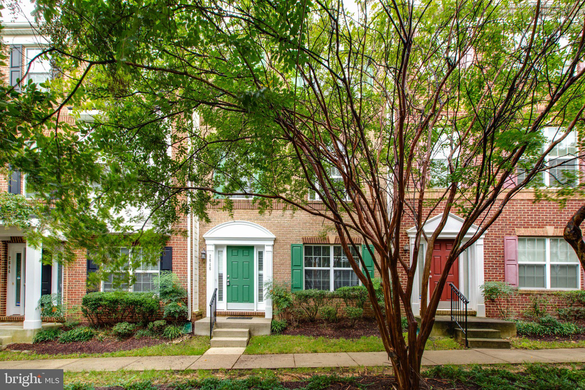 2646 SHADE BRANCH ROAD