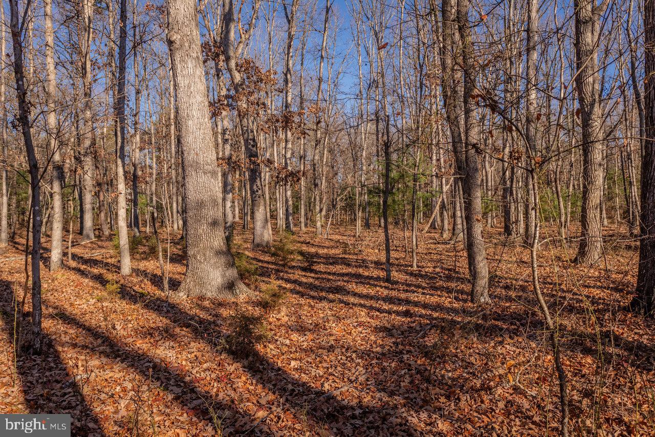 EGYPT BEND ESTATES - Residential