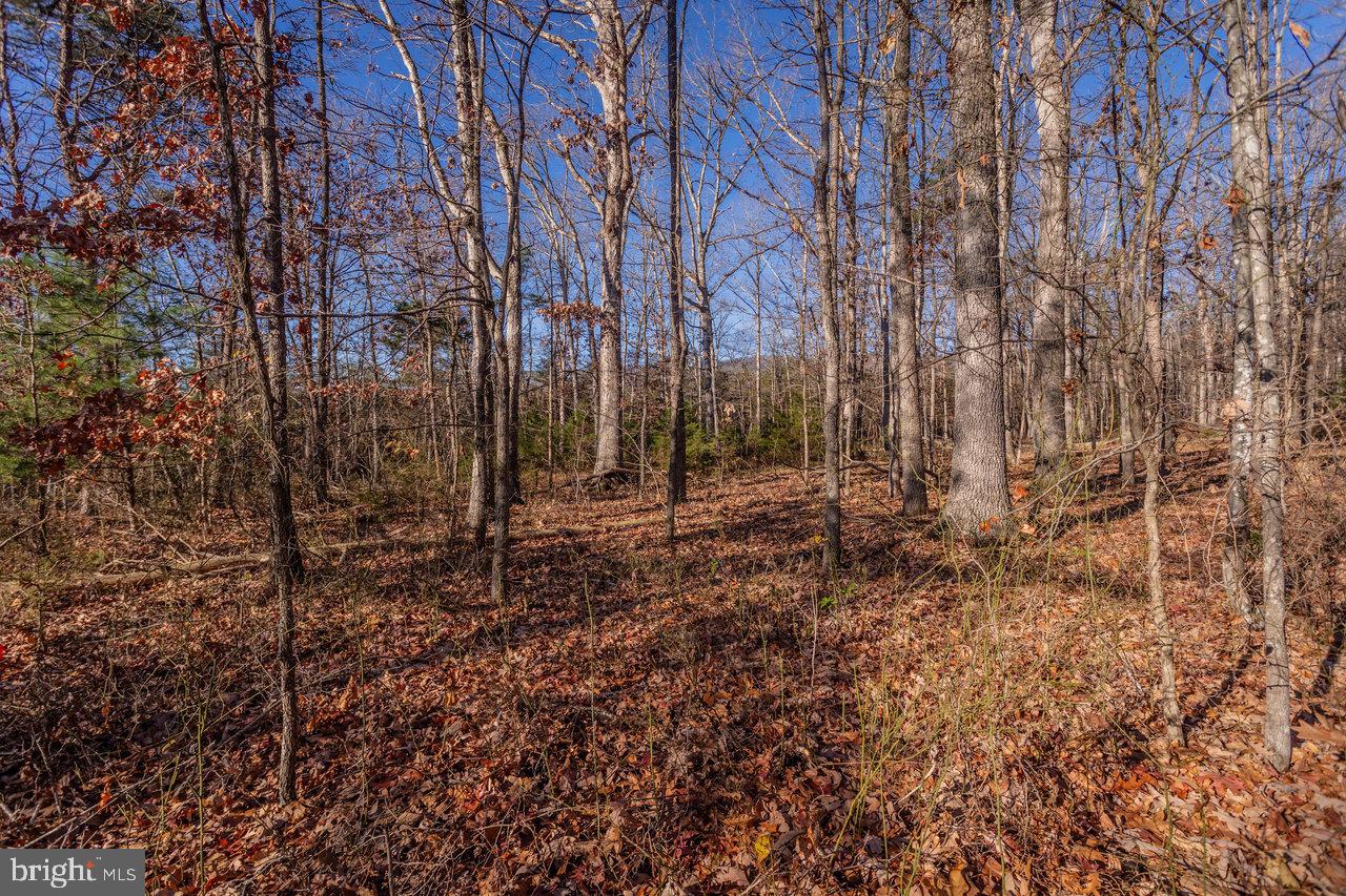 EGYPT BEND ESTATES - Residential