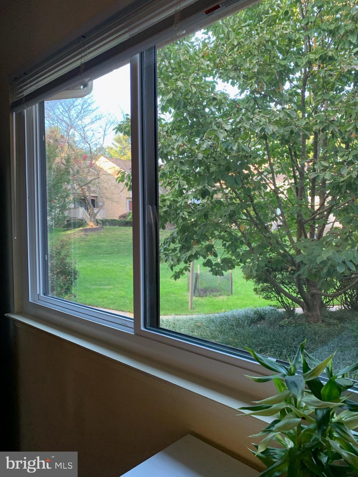 MOSBY WOODS TH CONDOS - Residential Lease