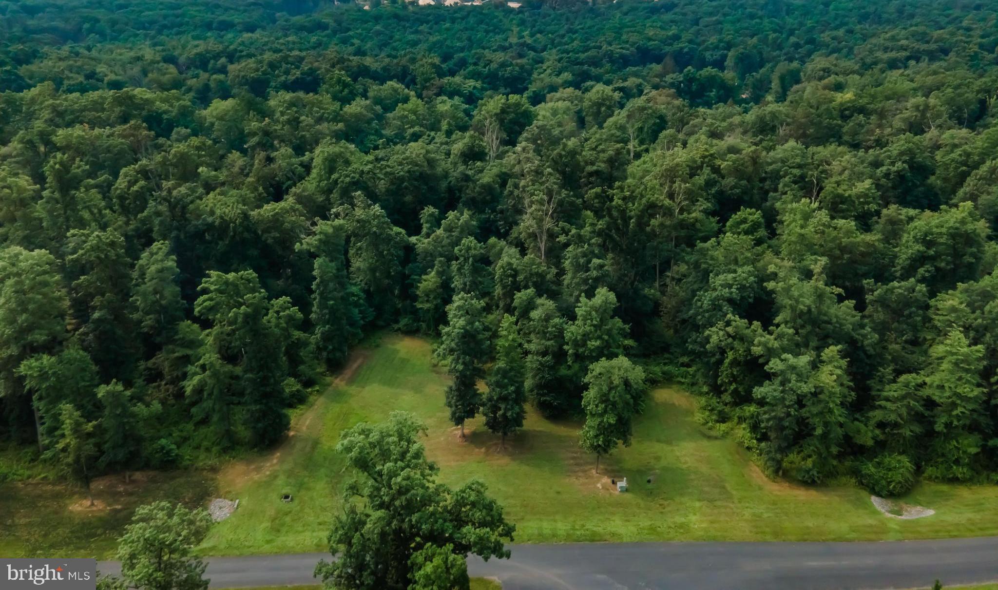 WOODS OF BARNITZ - Land