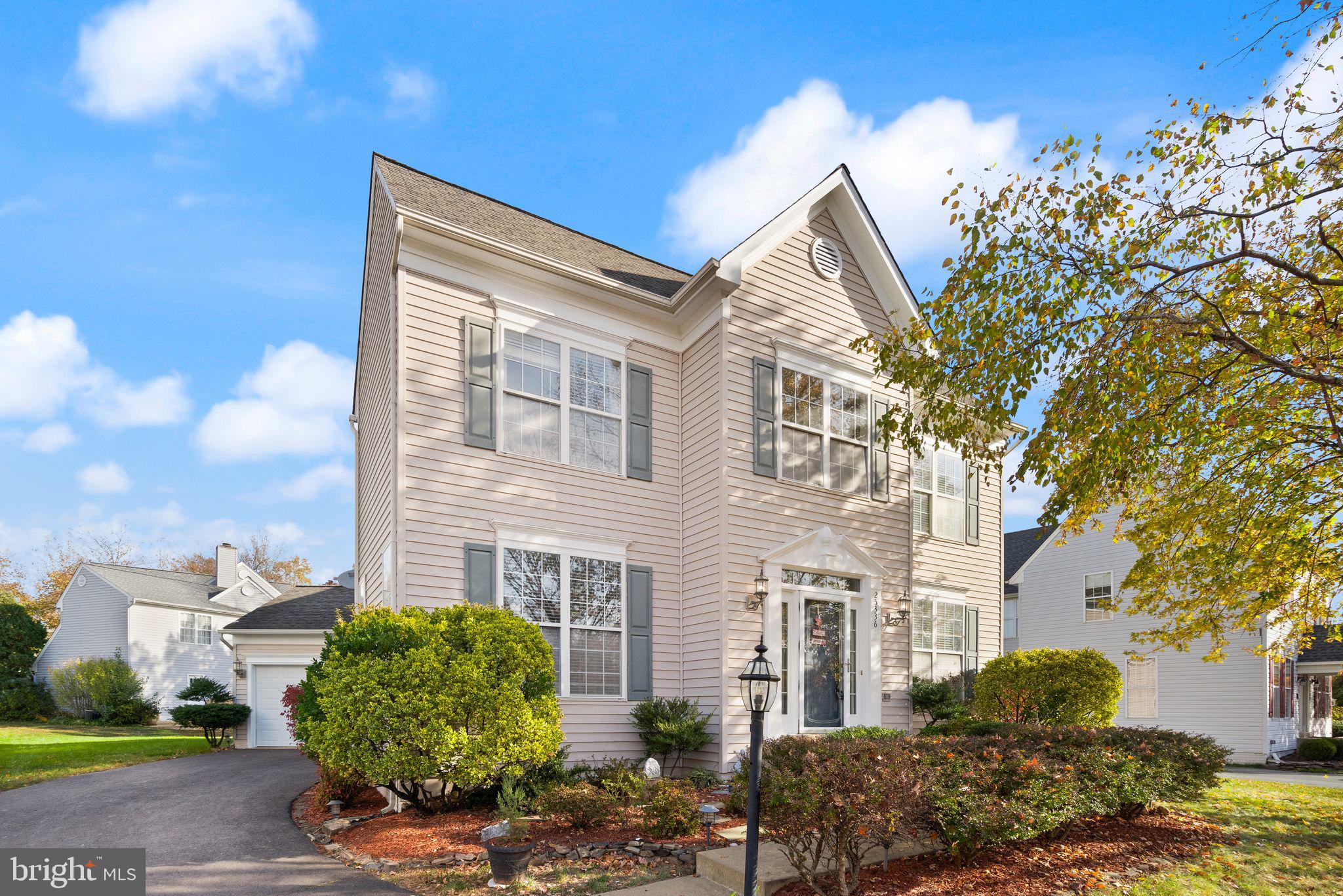 25336 RIPLEYS FIELD DRIVE