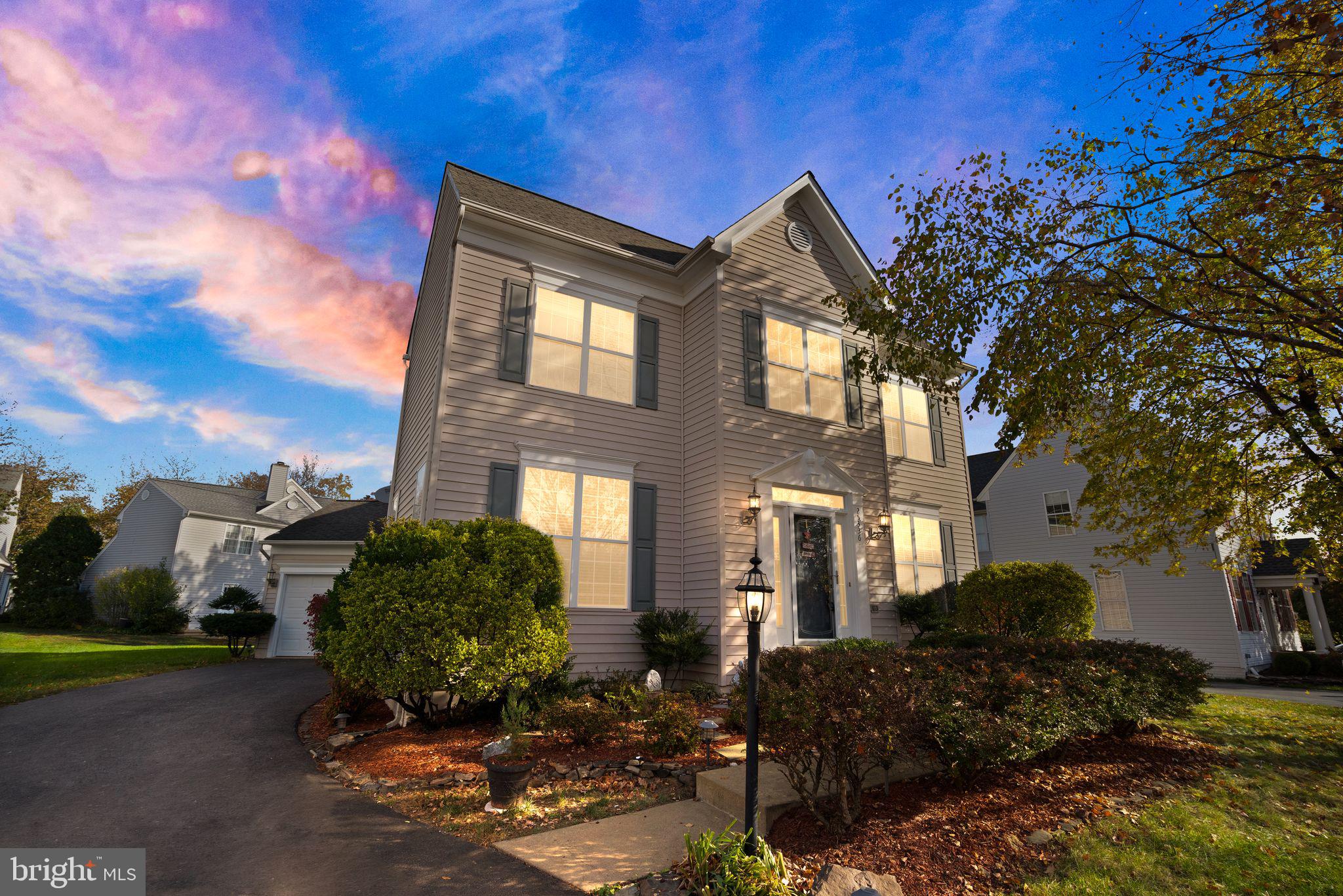25336 RIPLEYS FIELD DRIVE