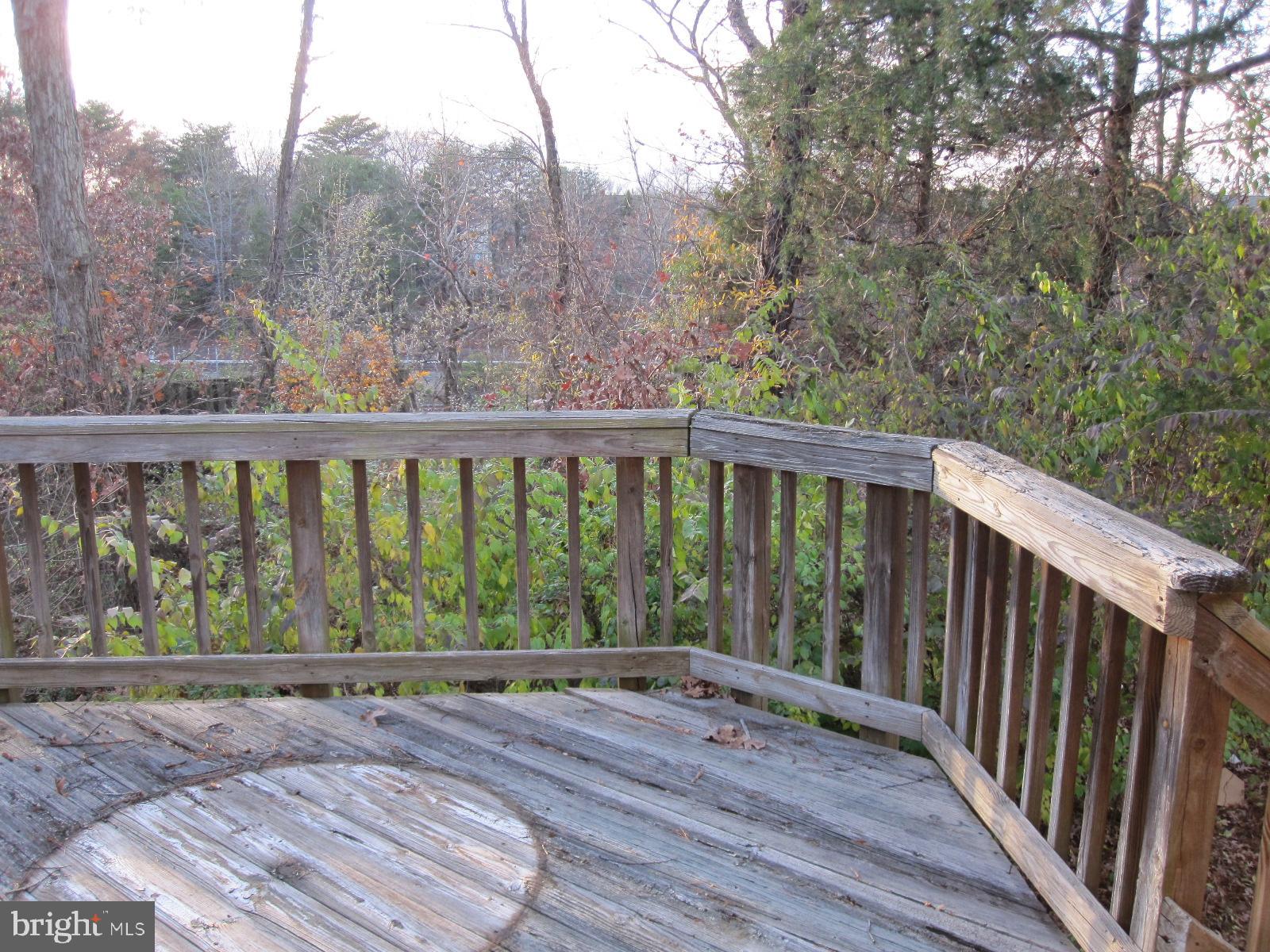 FRANCONIA FOREST - Residential