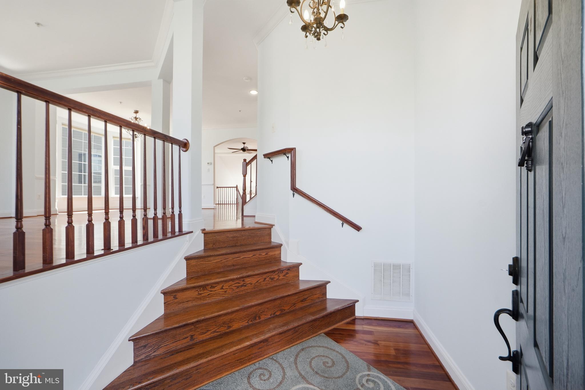 12218 CYPRESS SPRING ROAD