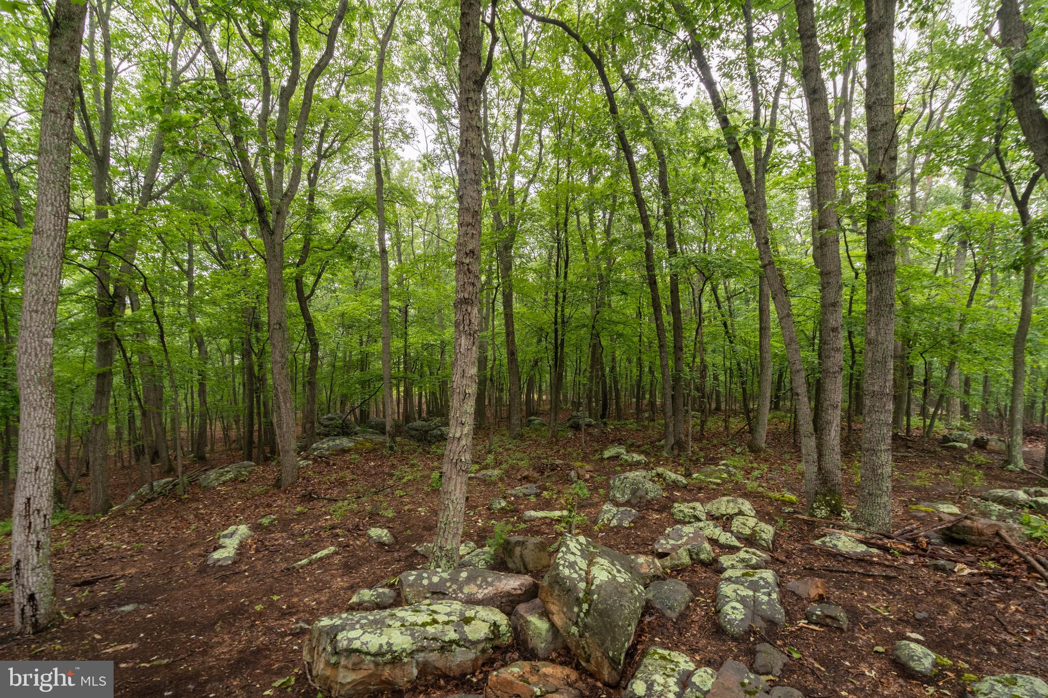 RITTER'S HIDDEN VALLEY - Residential