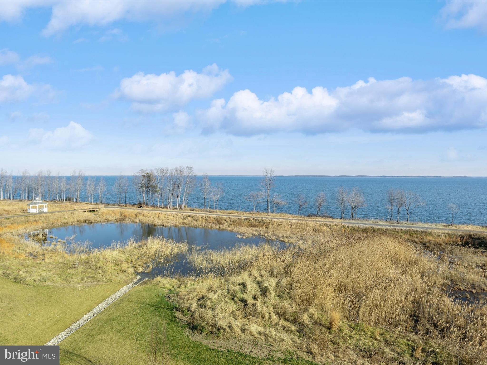 FOUR SEASONS AT KENT ISLAND - Residential