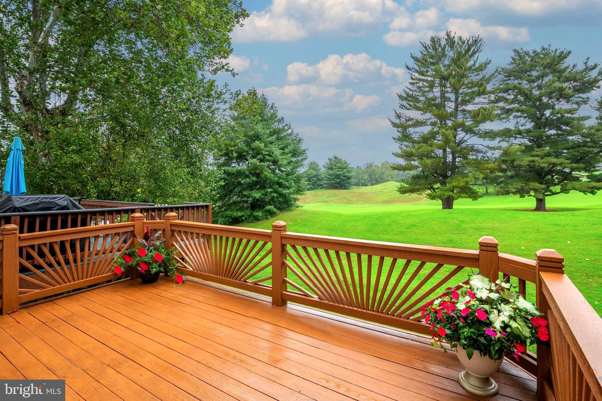 VILLAGE OF DORSEY SEARCH - Residential