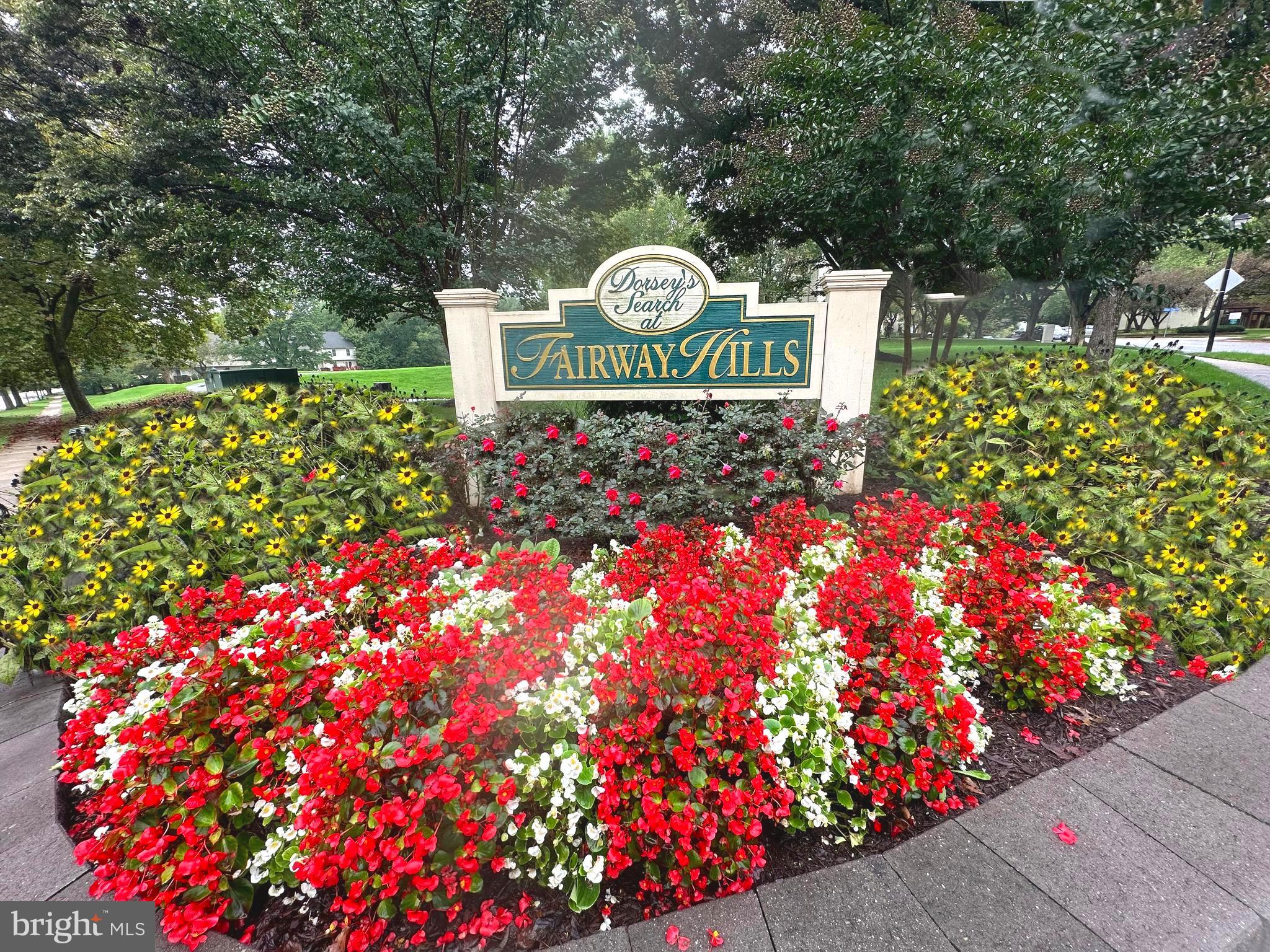 VILLAGE OF DORSEY SEARCH - Residential