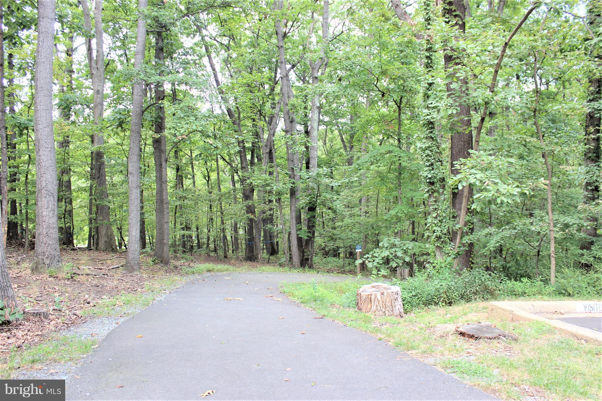 CHESTNUT GROVE - Residential