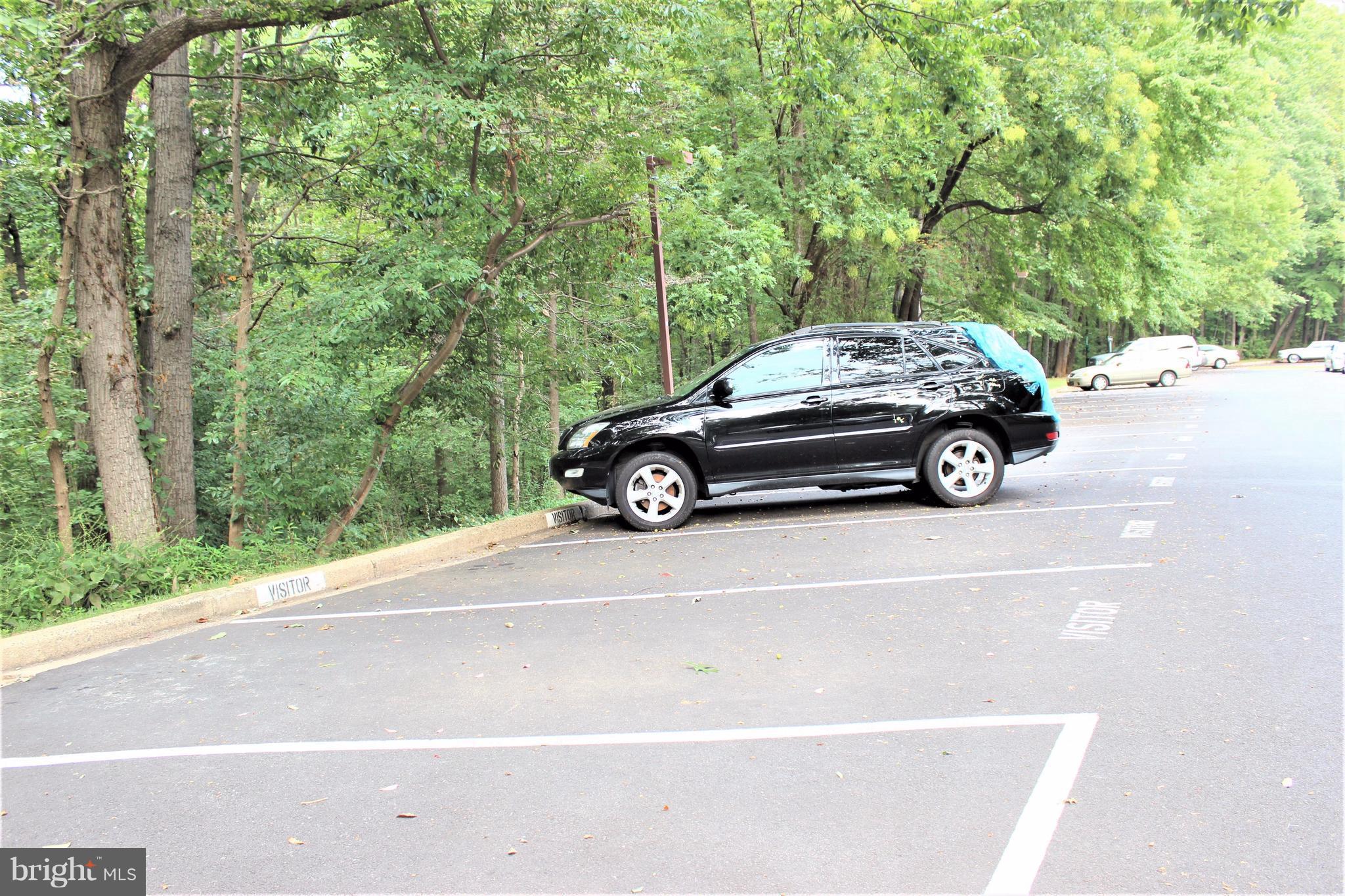 CHESTNUT GROVE - Residential