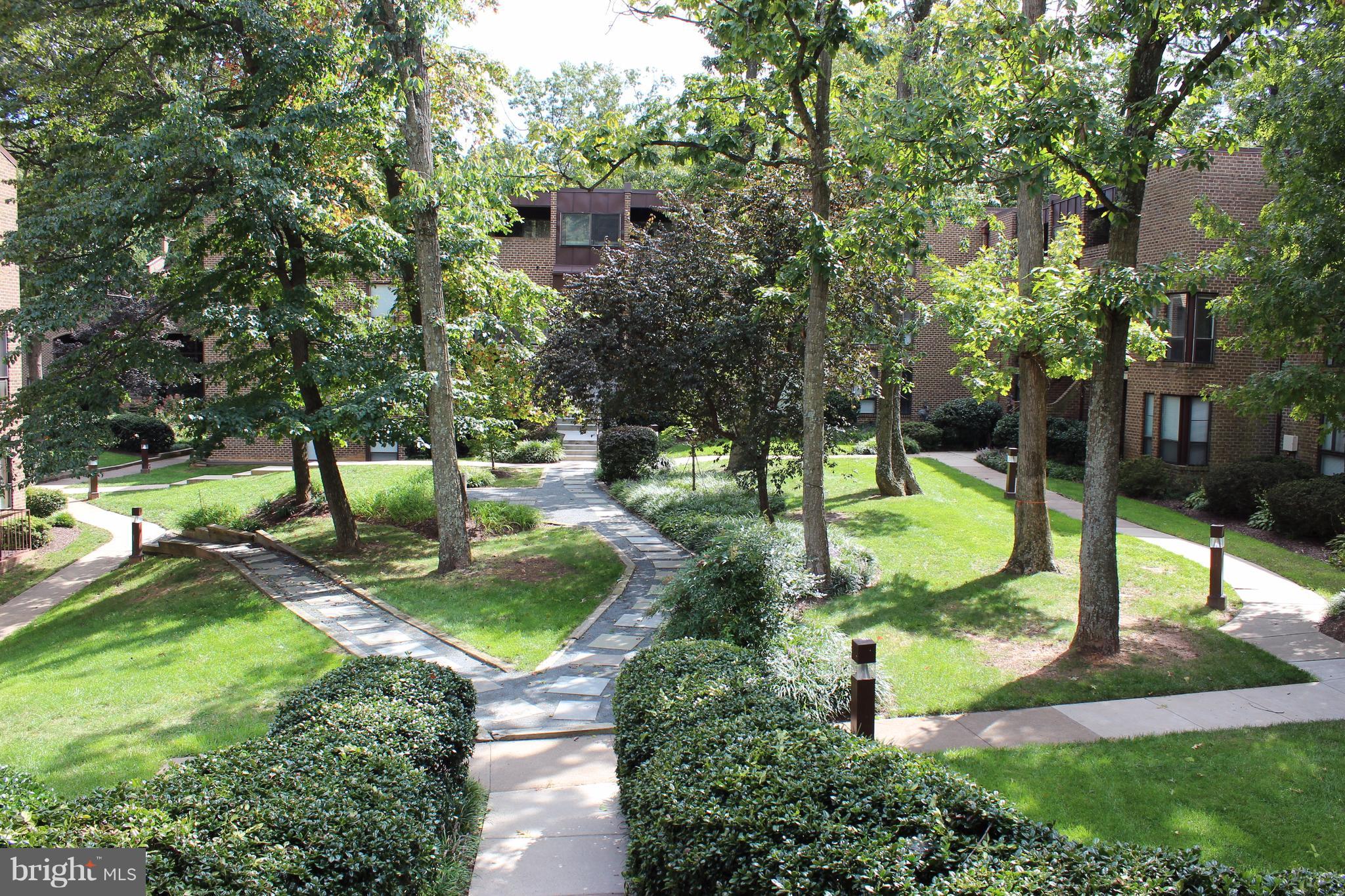 CHESTNUT GROVE - Residential