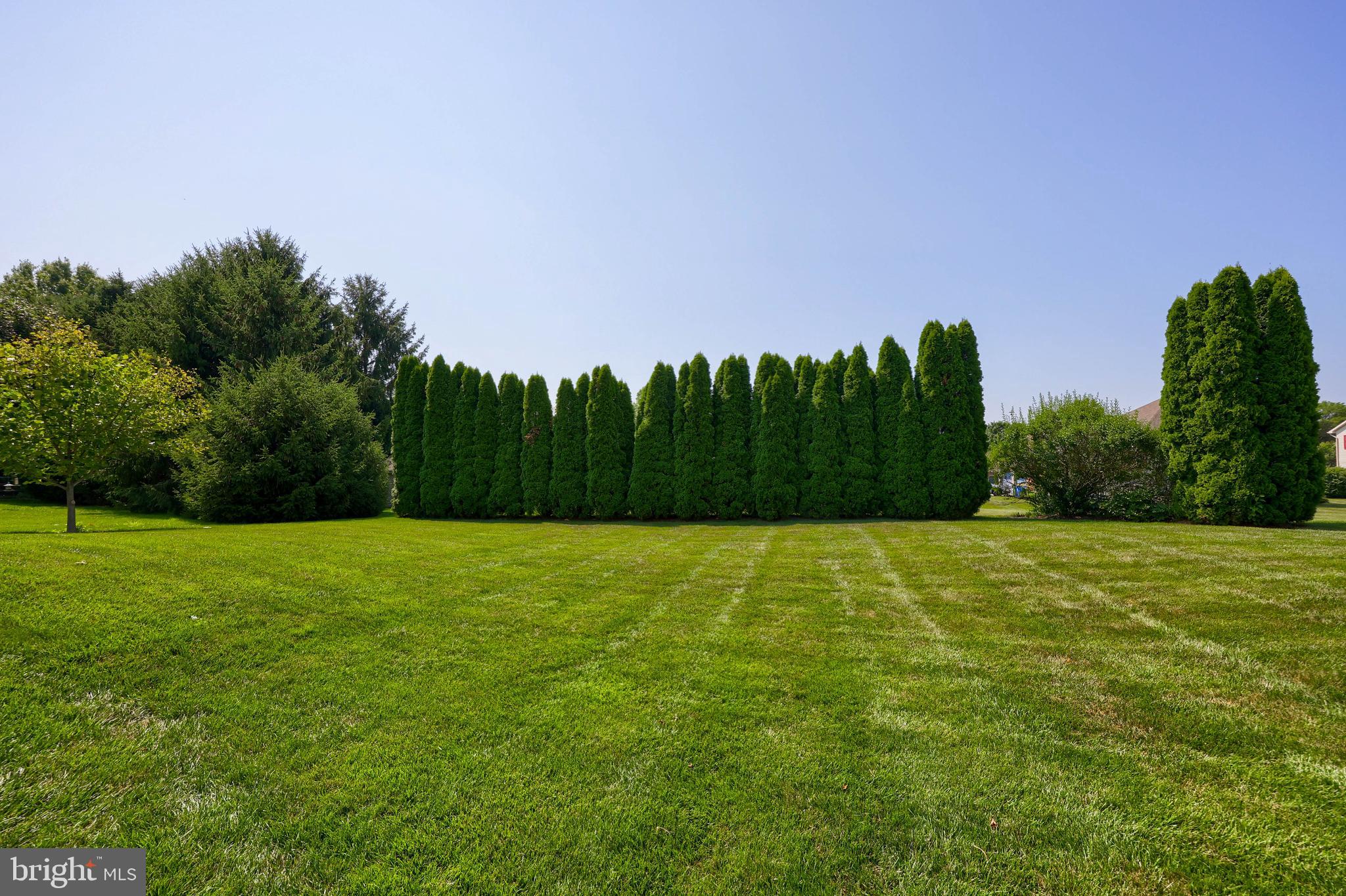 CHESTNUT RUN - Residential