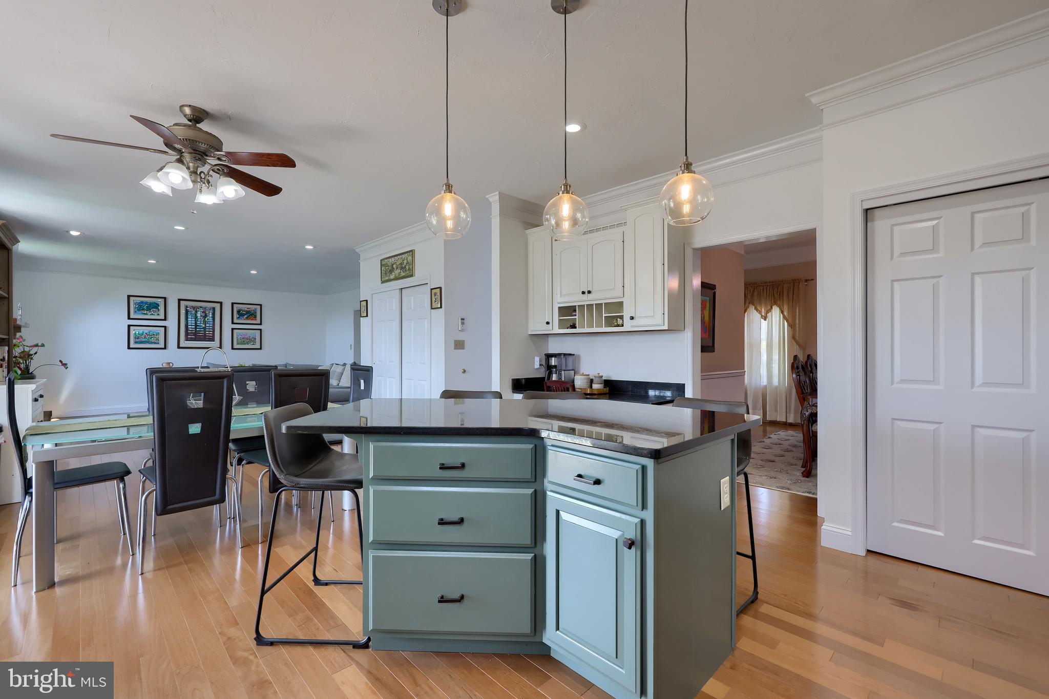 CHESTNUT RUN - Residential