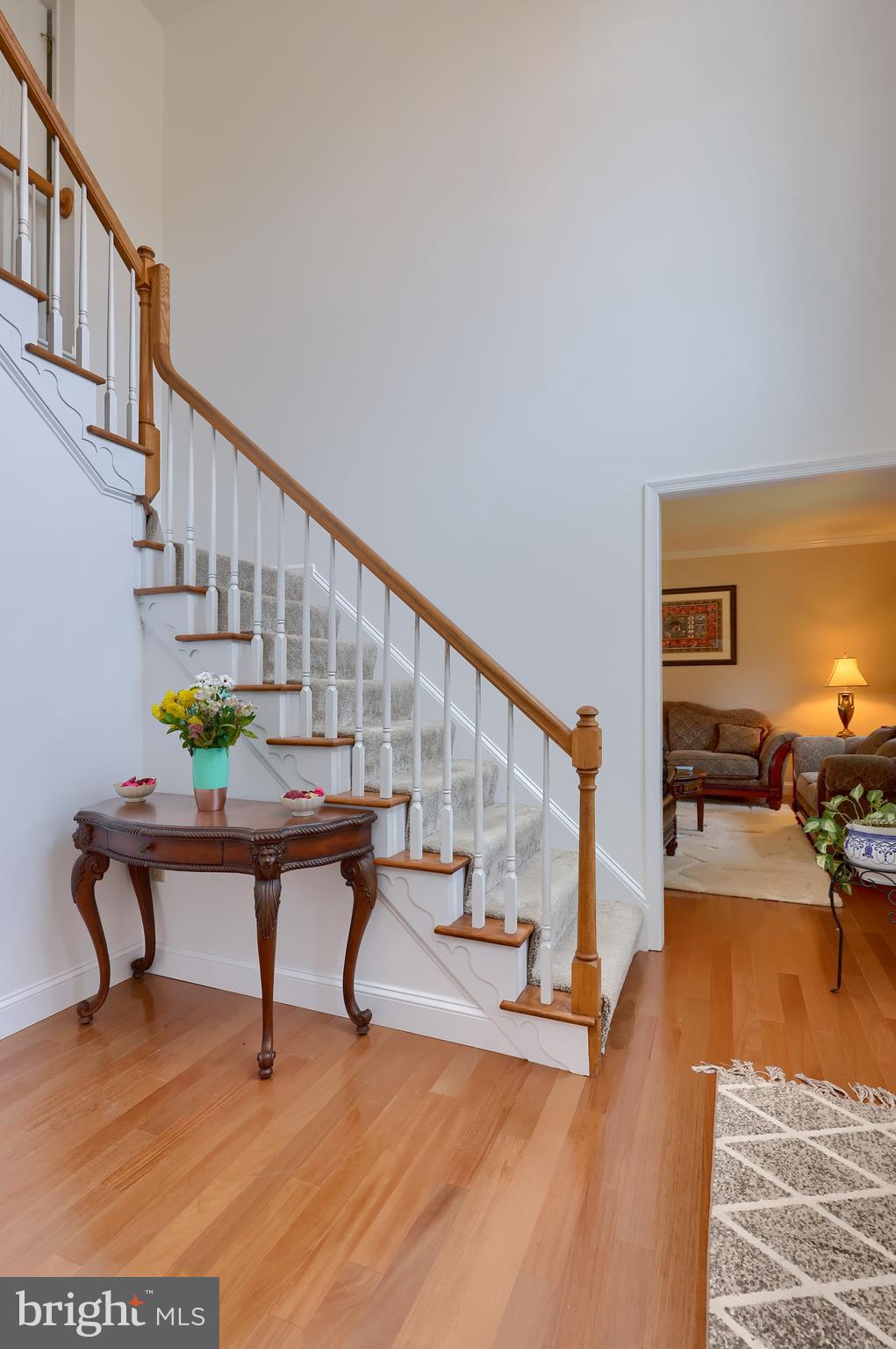 CHESTNUT RUN - Residential