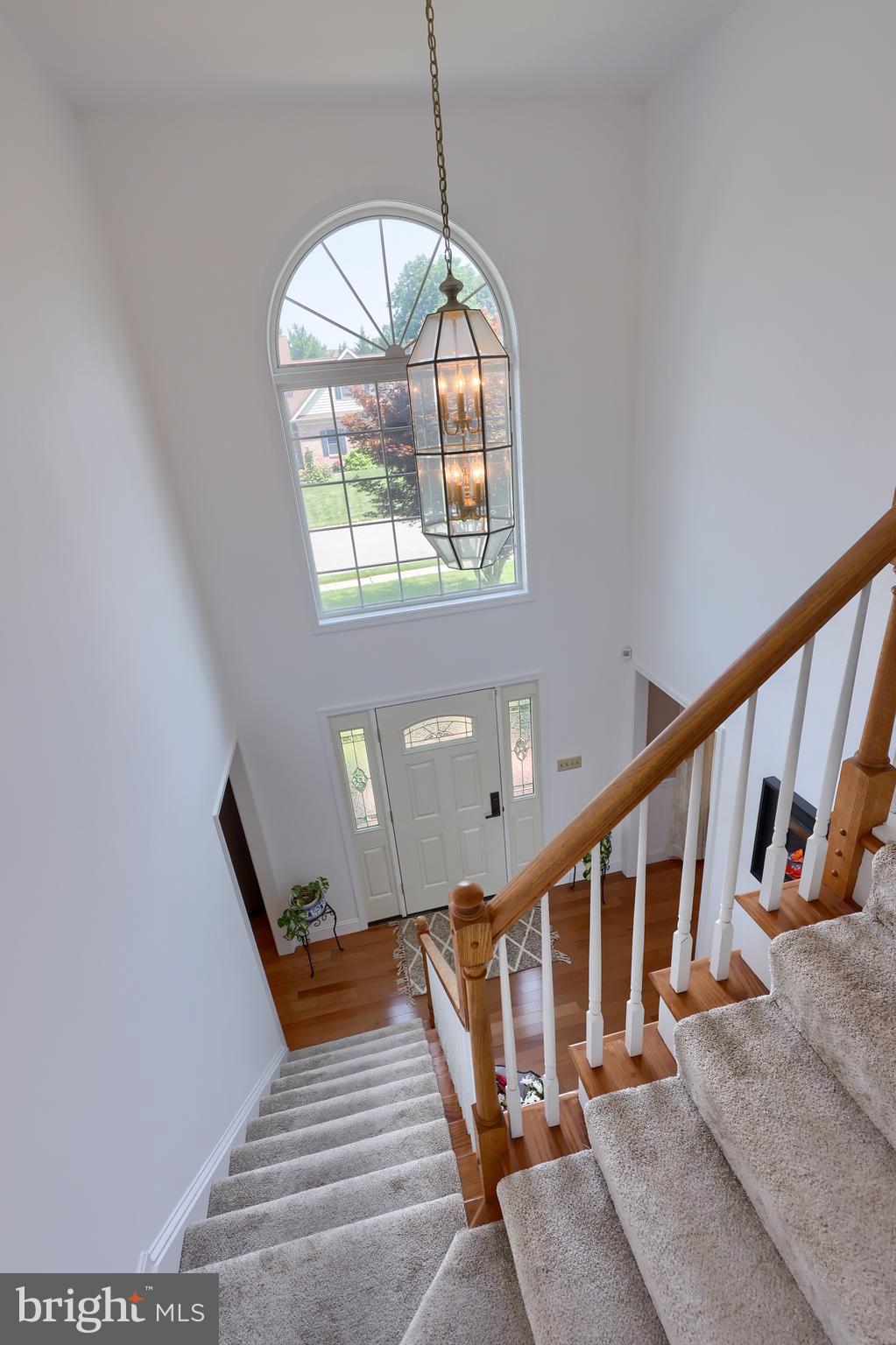 CHESTNUT RUN - Residential