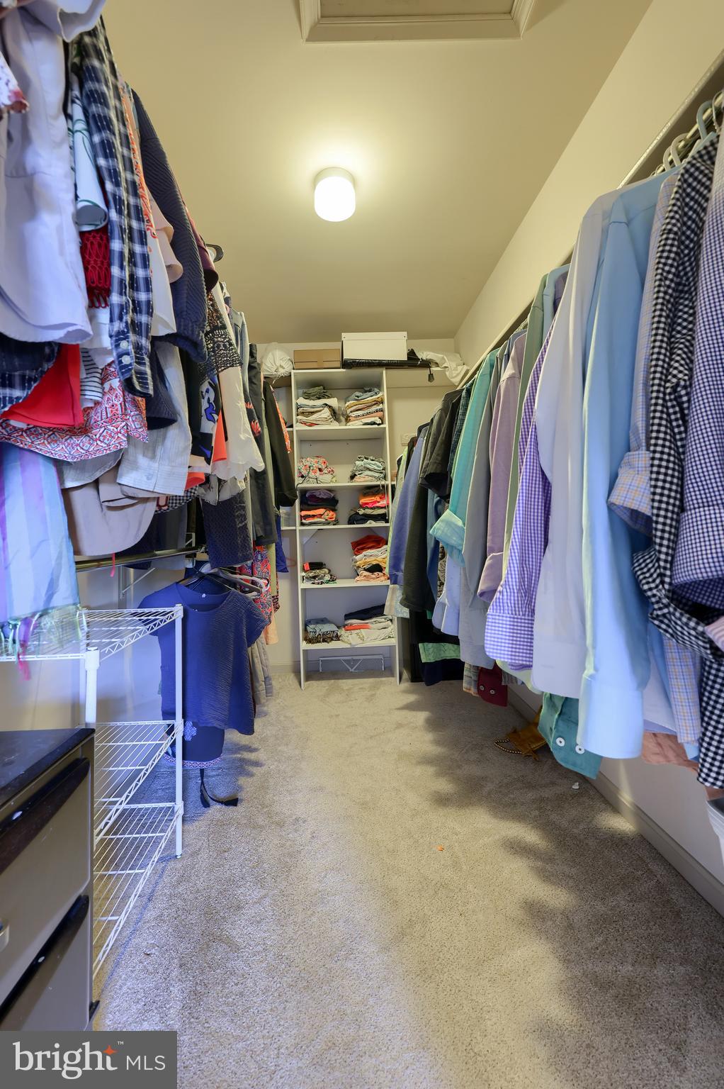 CHESTNUT RUN - Residential