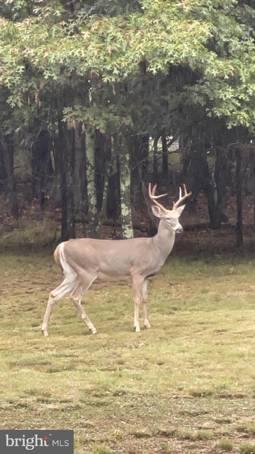 WEBER HERITAGE - Residential