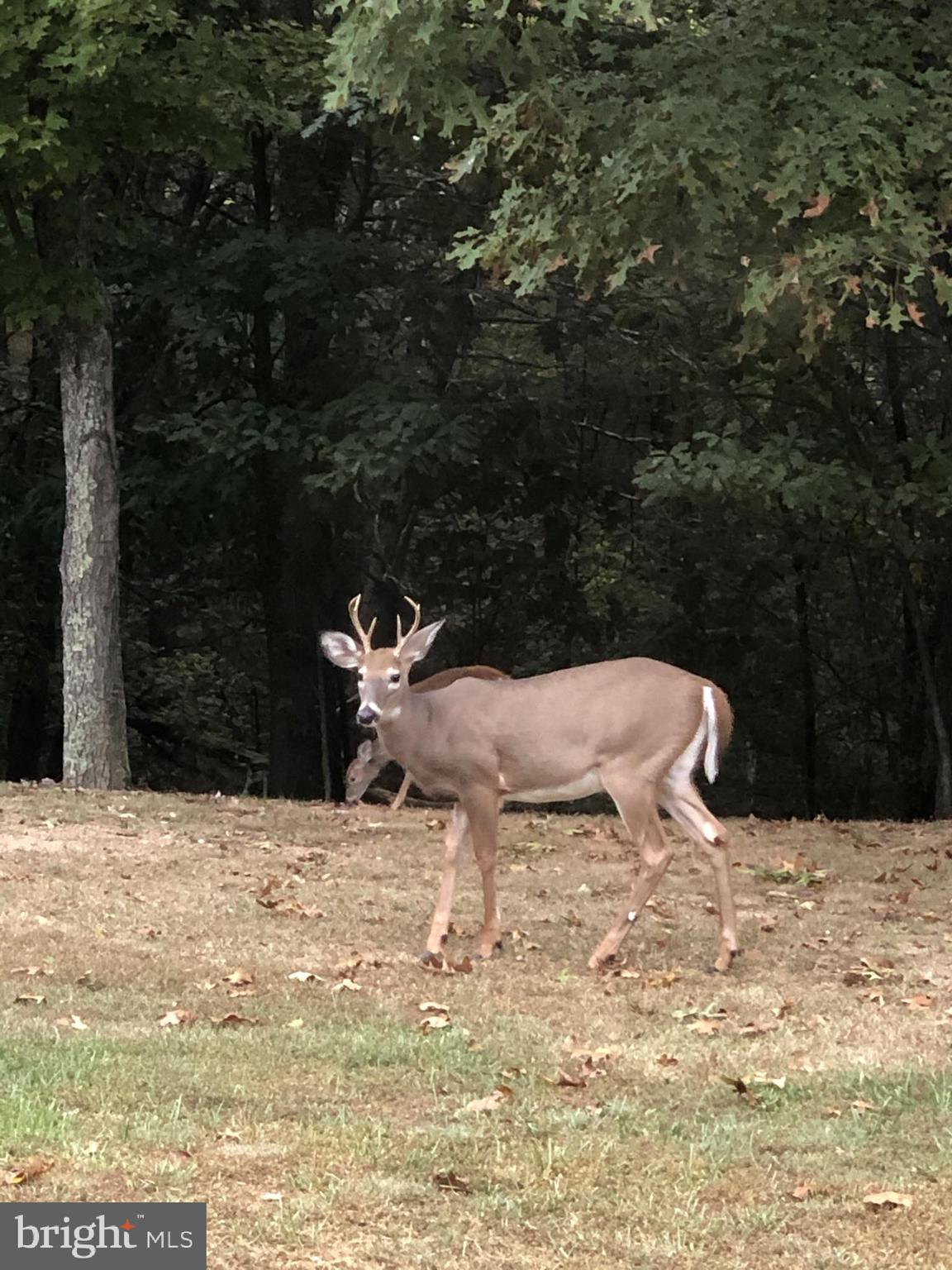 WEBER HERITAGE - Residential
