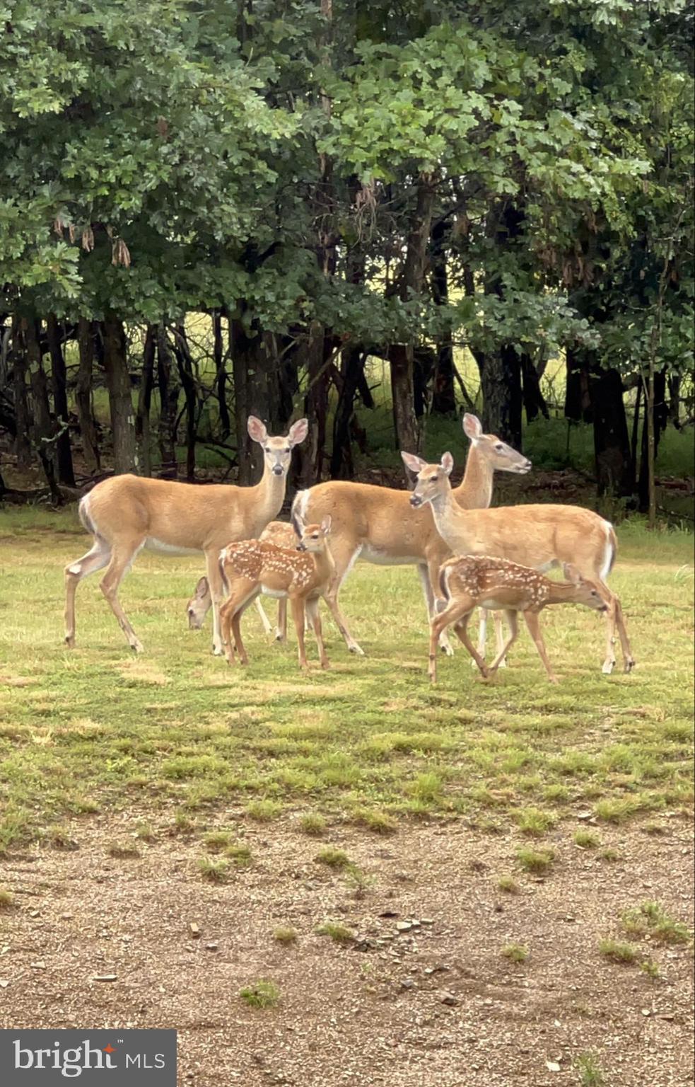 WEBER HERITAGE - Residential