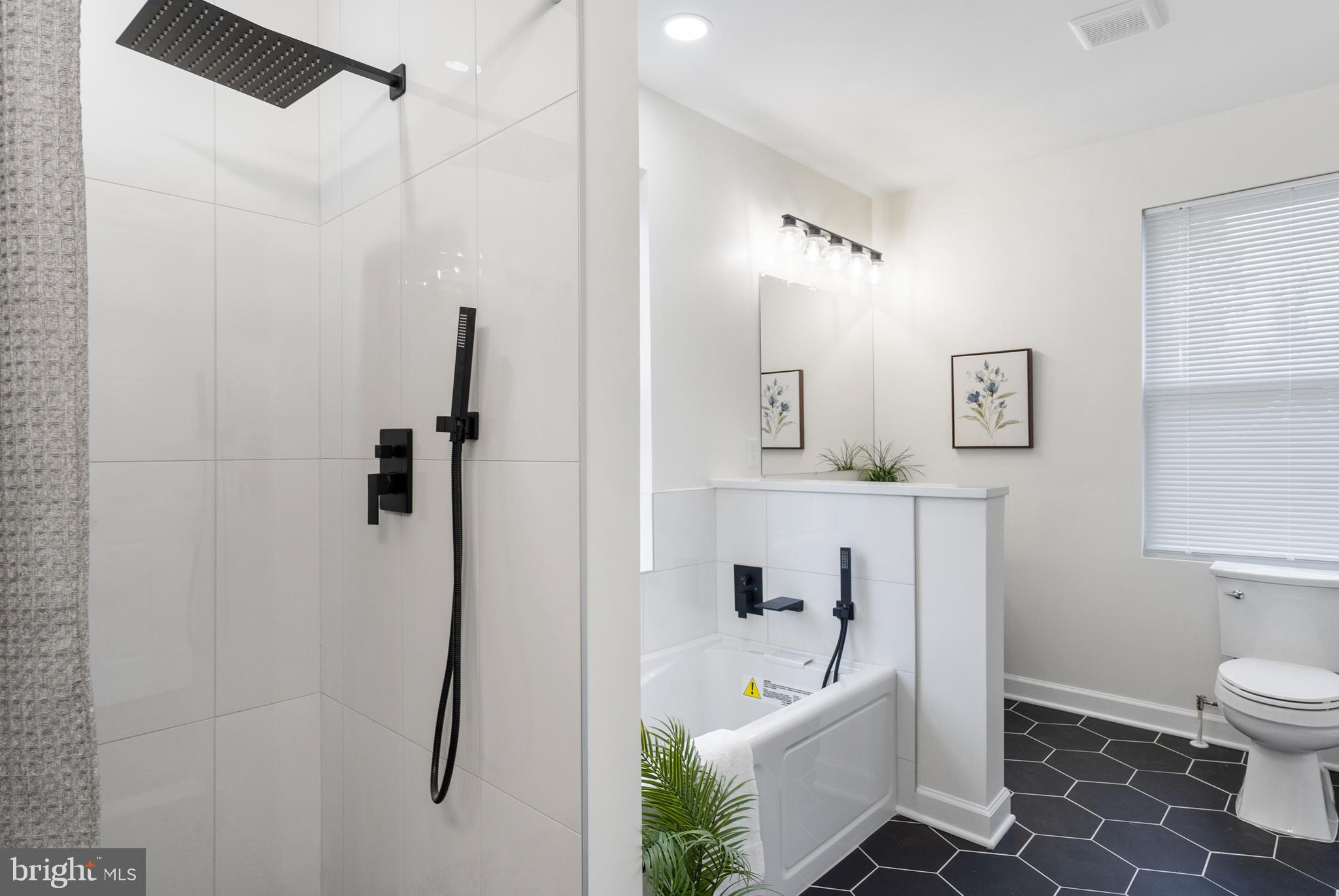 ASHBURTON HISTORIC DISTRICT - Residential