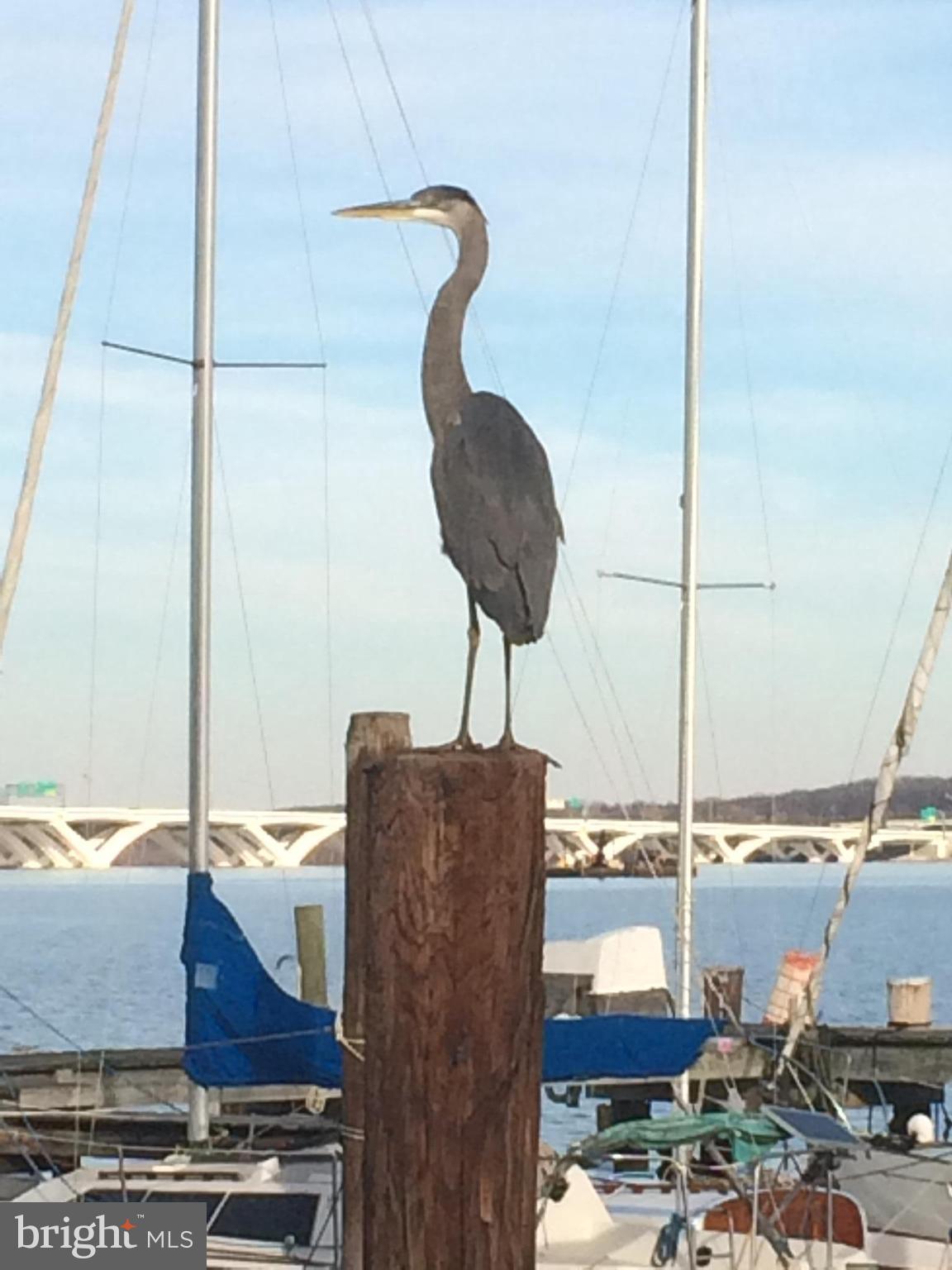 NEW ALEXANDRIA - Residential