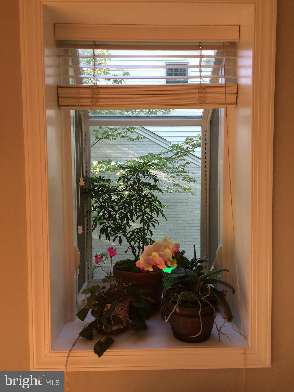 NEW ALEXANDRIA - Residential