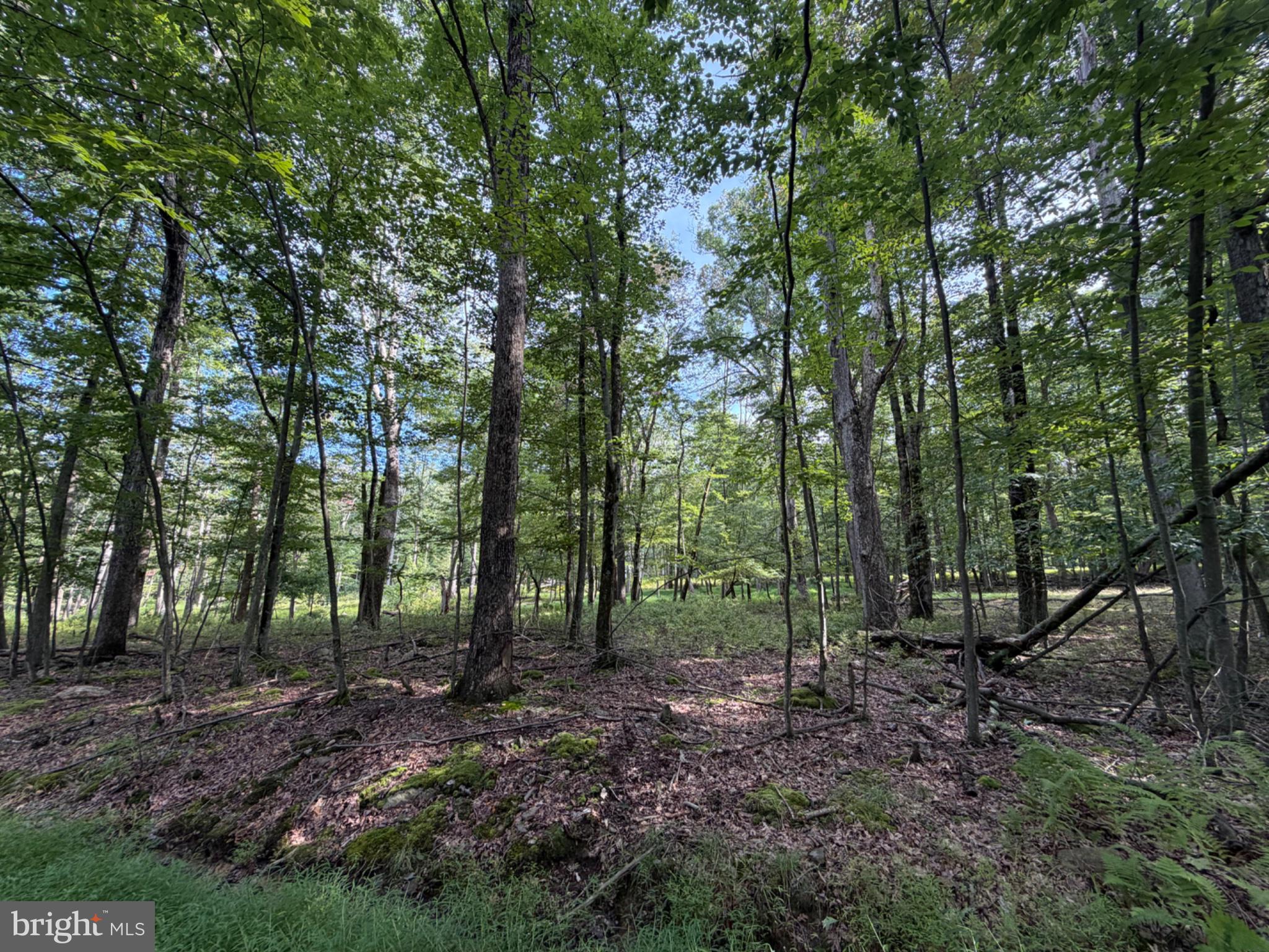 442 HAYSTACK DRIVE