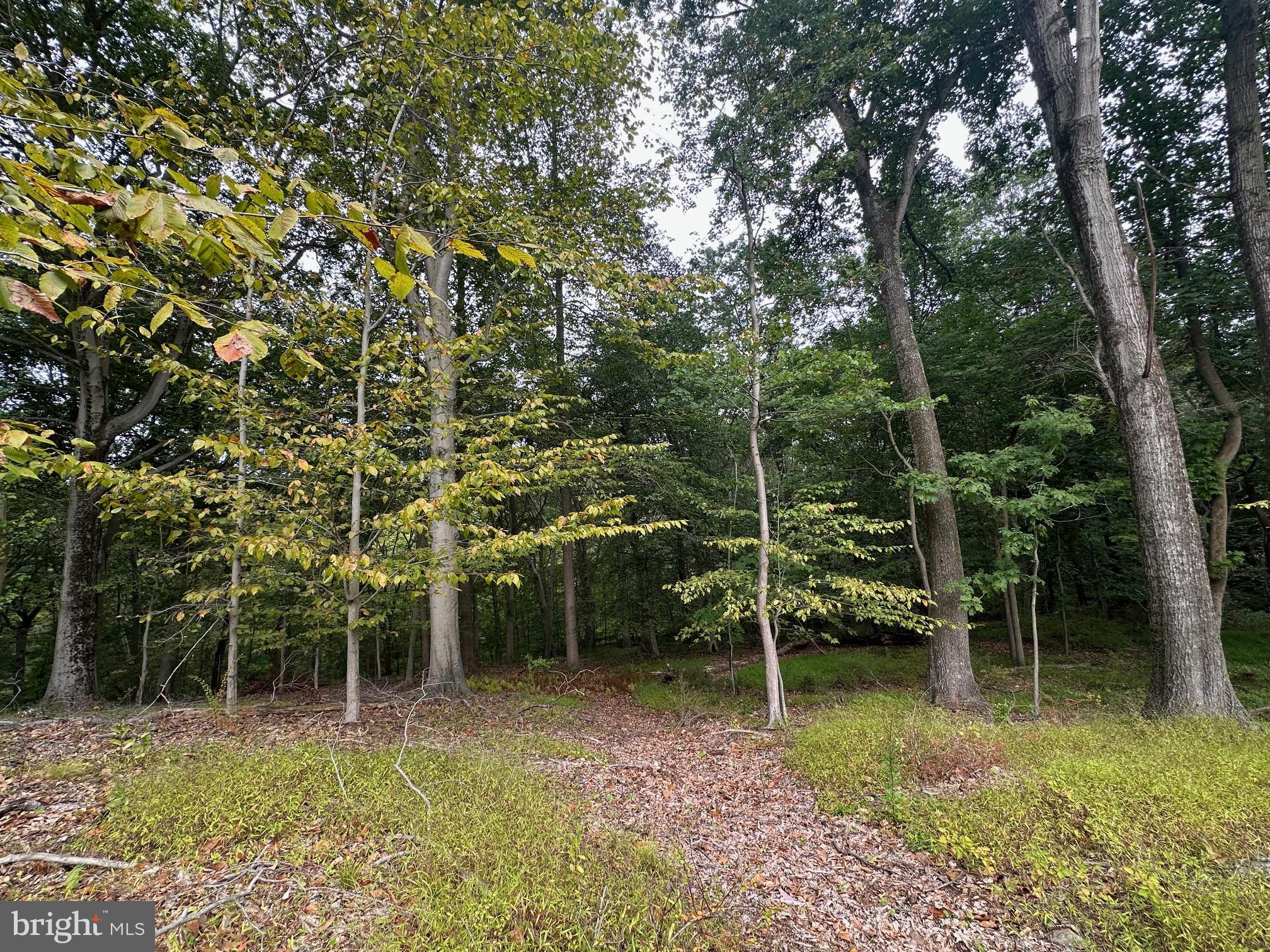 OAKWOOD - Residential