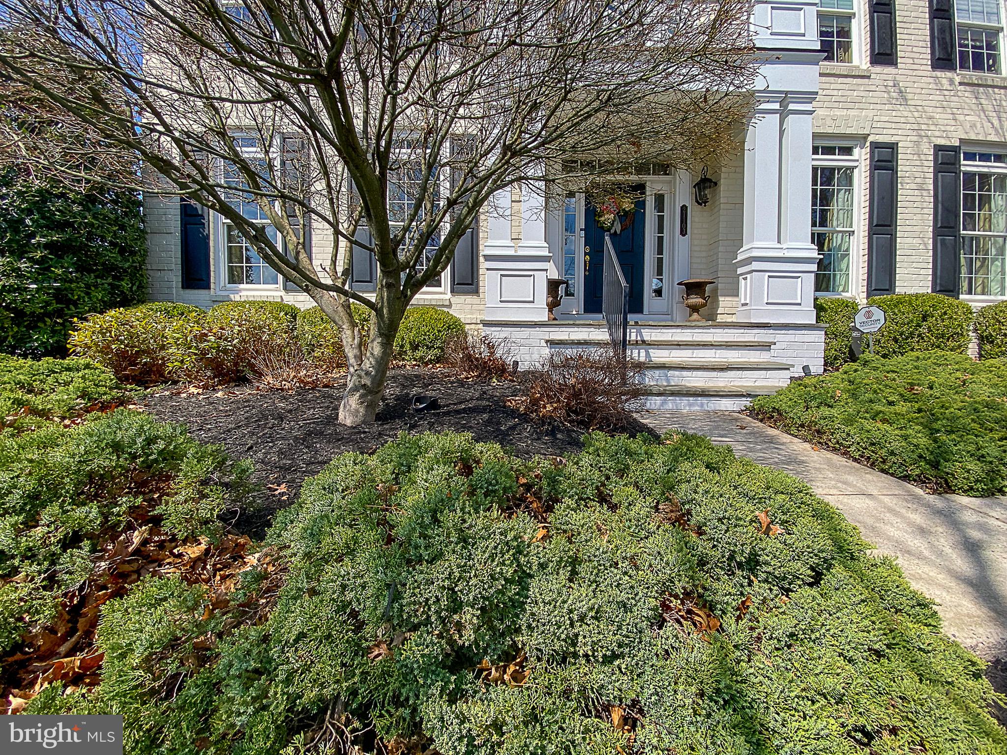 RED CEDAR SOUTH VILLAGE - Residential