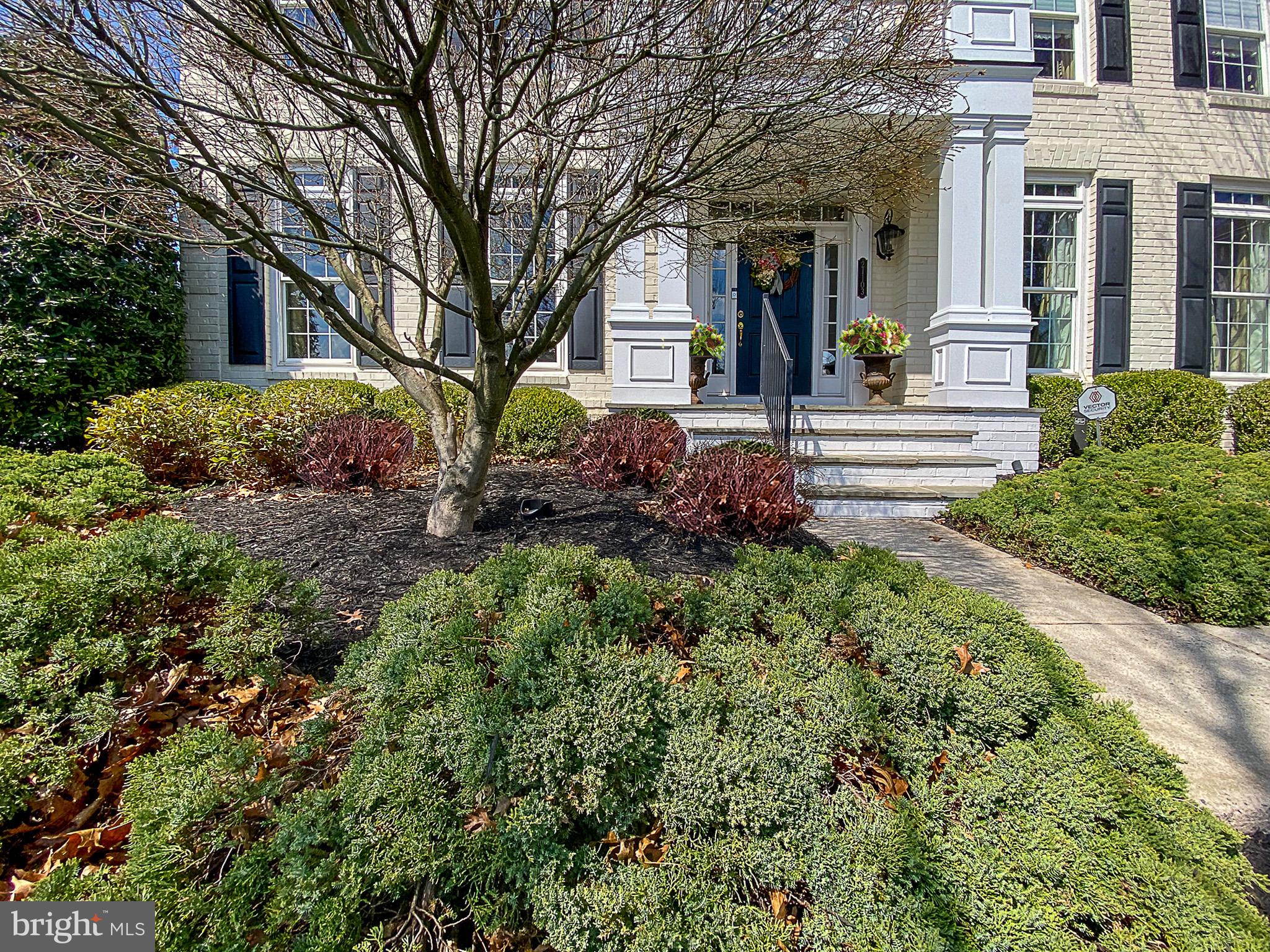 RED CEDAR SOUTH VILLAGE - Residential