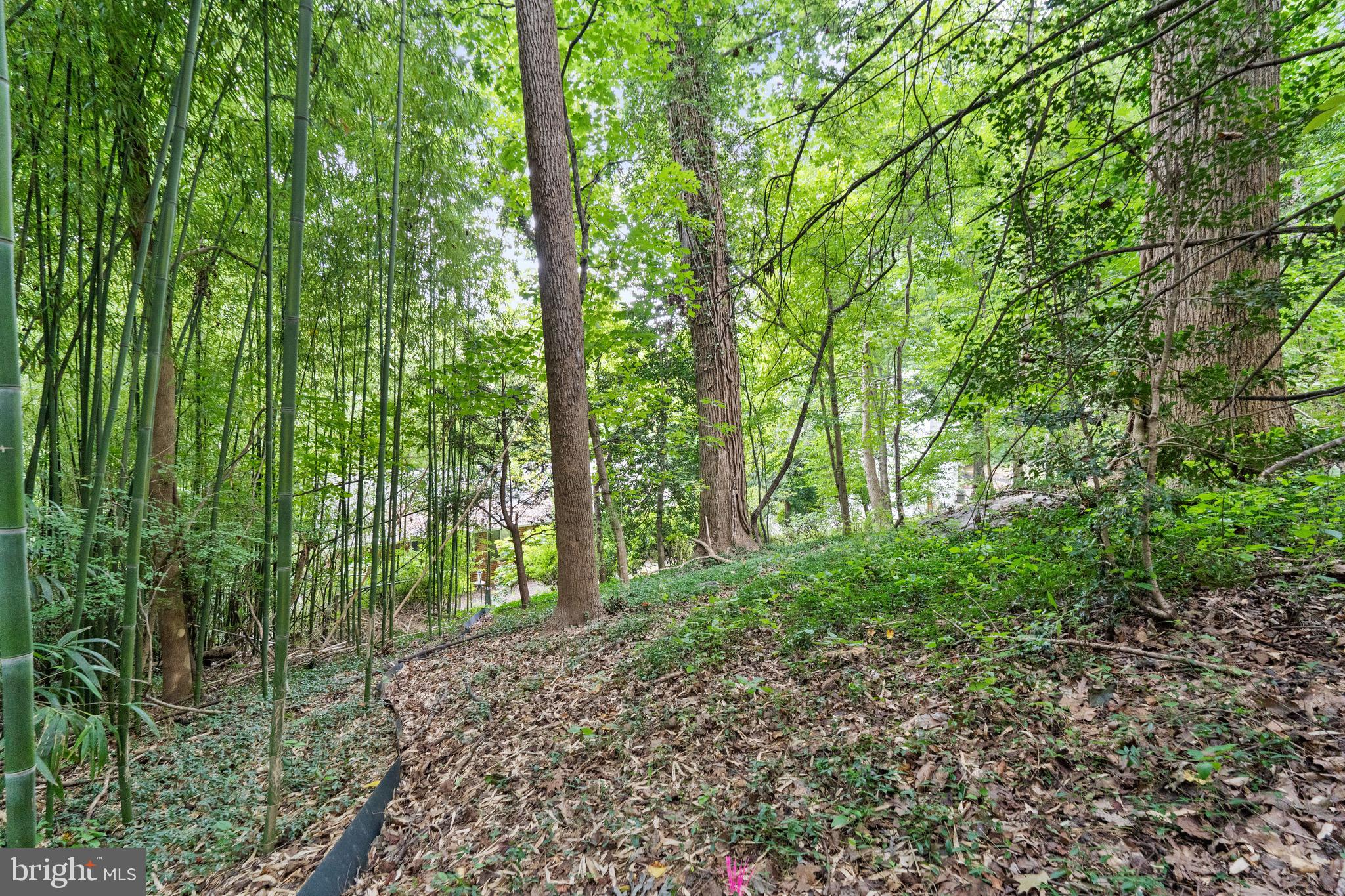 FLINT HILL - Residential